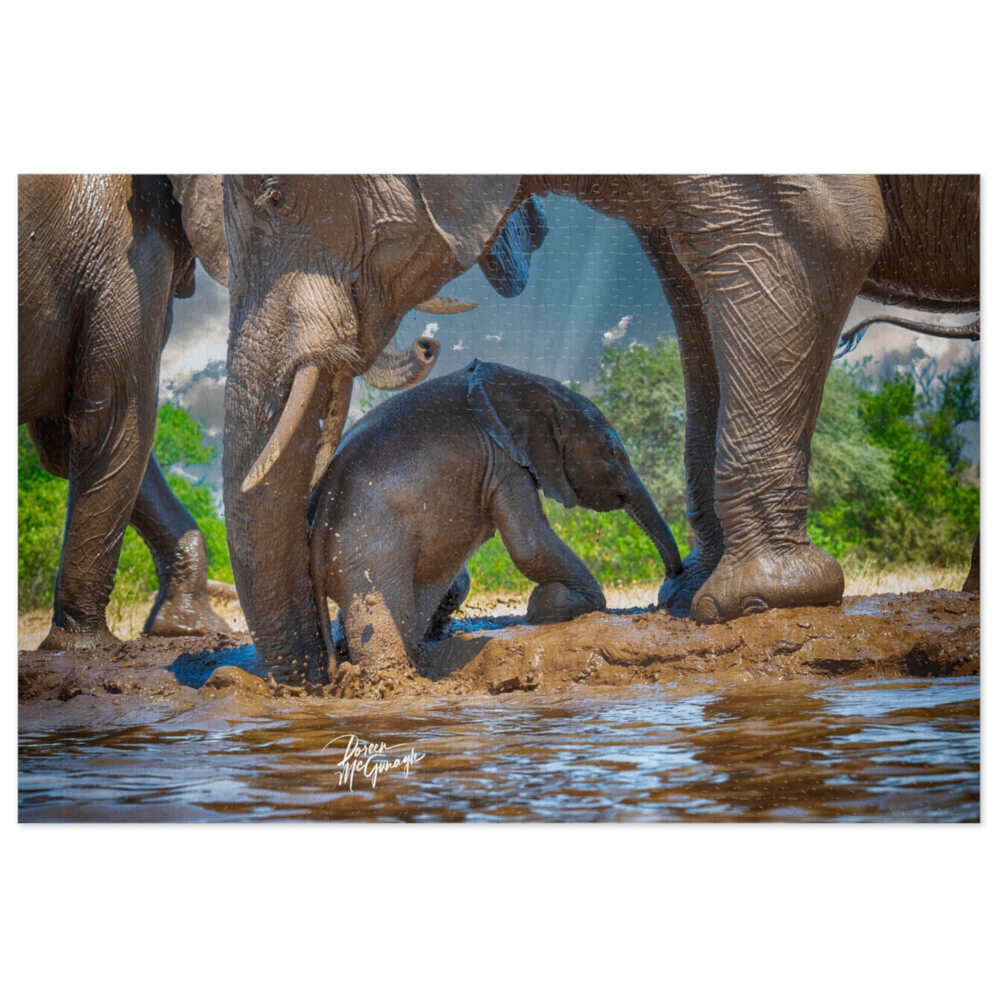 Elephant Baby with Mom Jigsaw Puzzle by Enjoy Nature