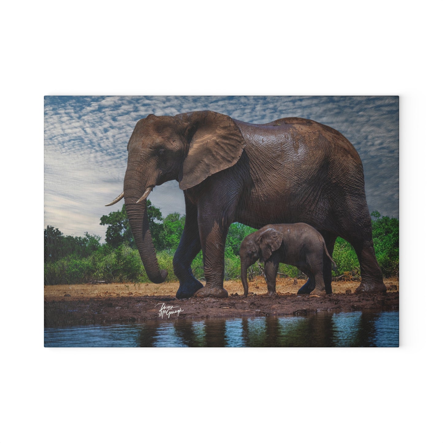 Enjoy Nature Glass Charcuterie Cutting Board with Elephant Baby Walking with Mom Design