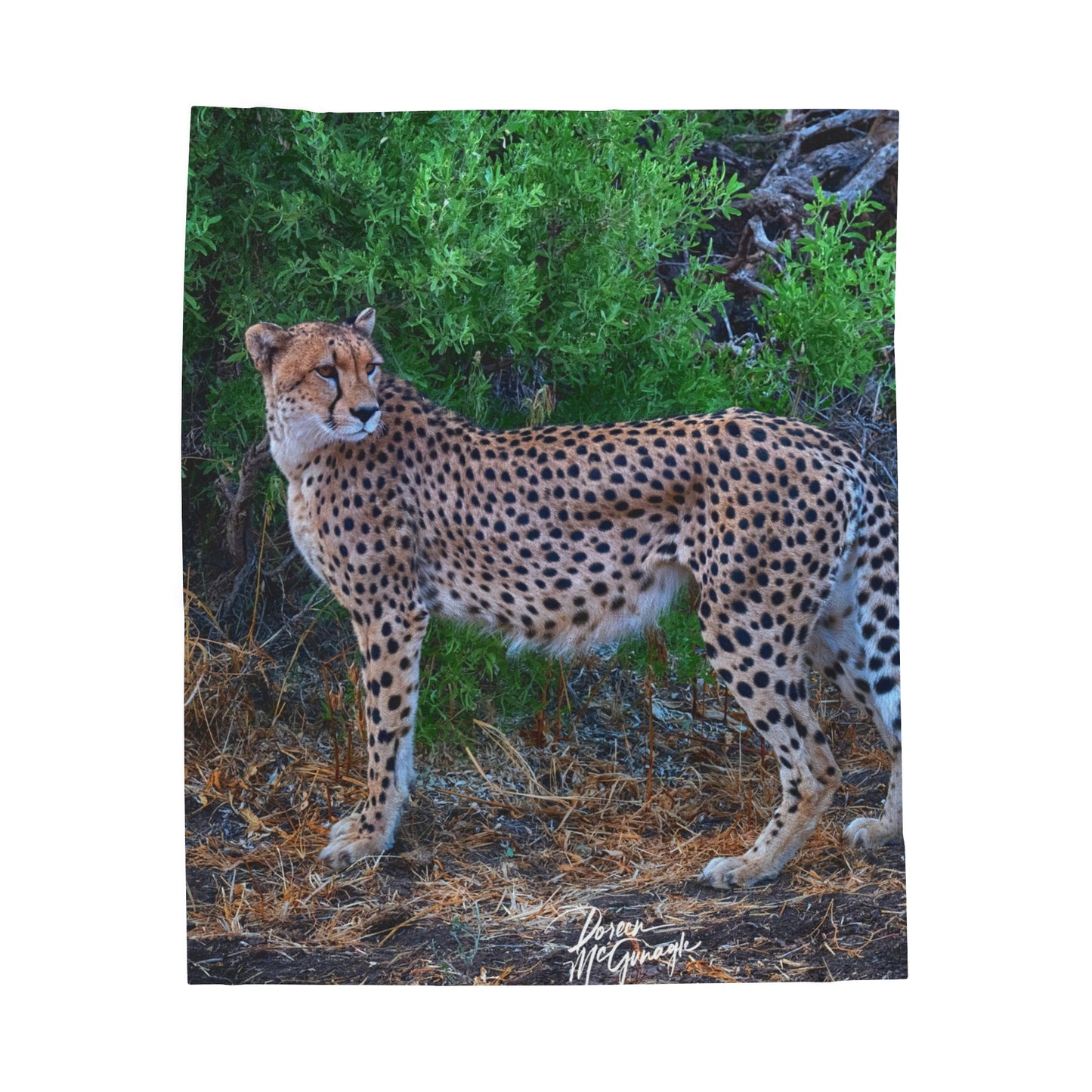 Velveteen Plush Blanket with Cheetah Stand by Enjoy Nature