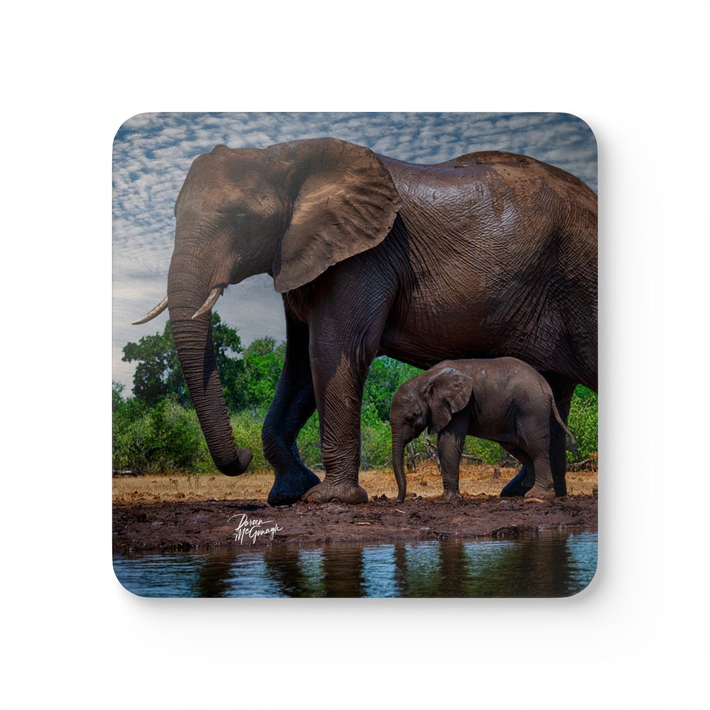 Spirited Elephant Mother with Baby Corkwood Coaster Set (Box of 4)