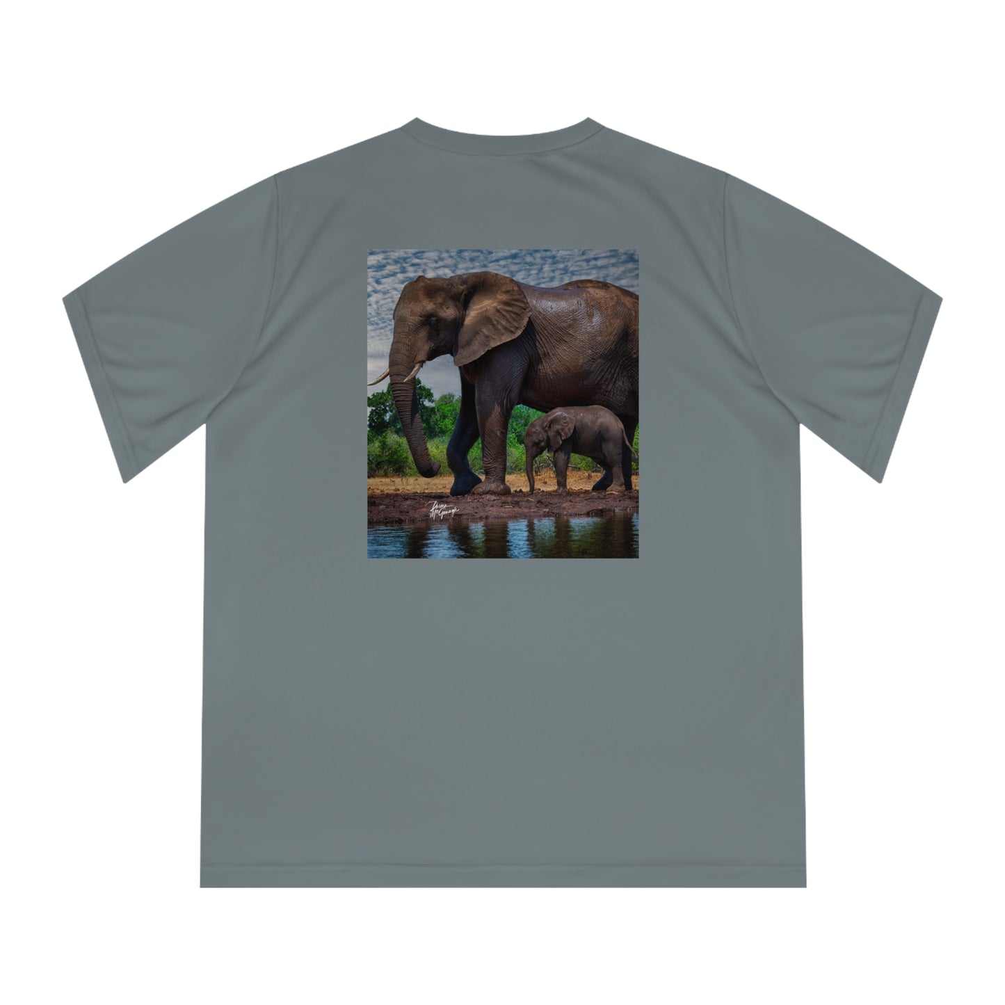 Women's Performance V-Neck T-Shirt - Elephant Baby Under Mom's Watchful Eye by Enjoy Nature