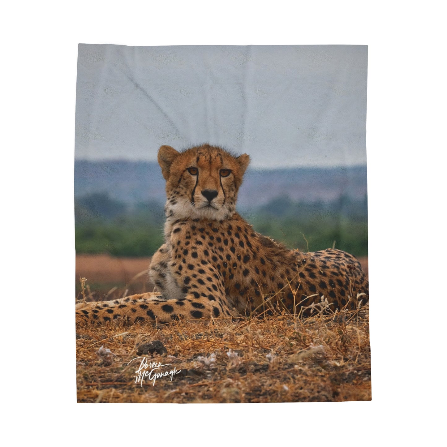 Velveteen Plush Blanket with Cheetah Portrait by Enjoy Nature