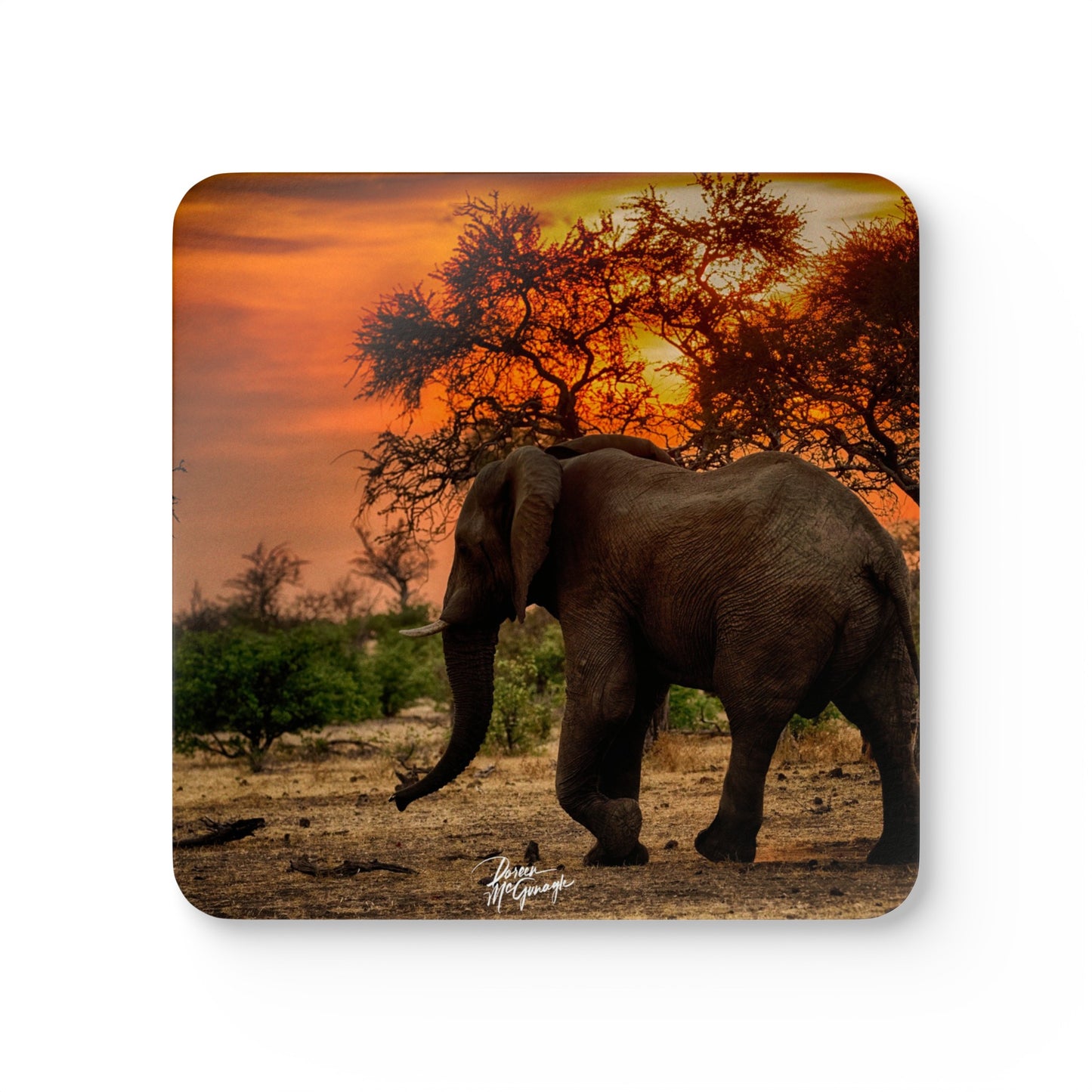 Elephant Silhouette at Sunrise Corkwood Coaster Set (Box of 4)