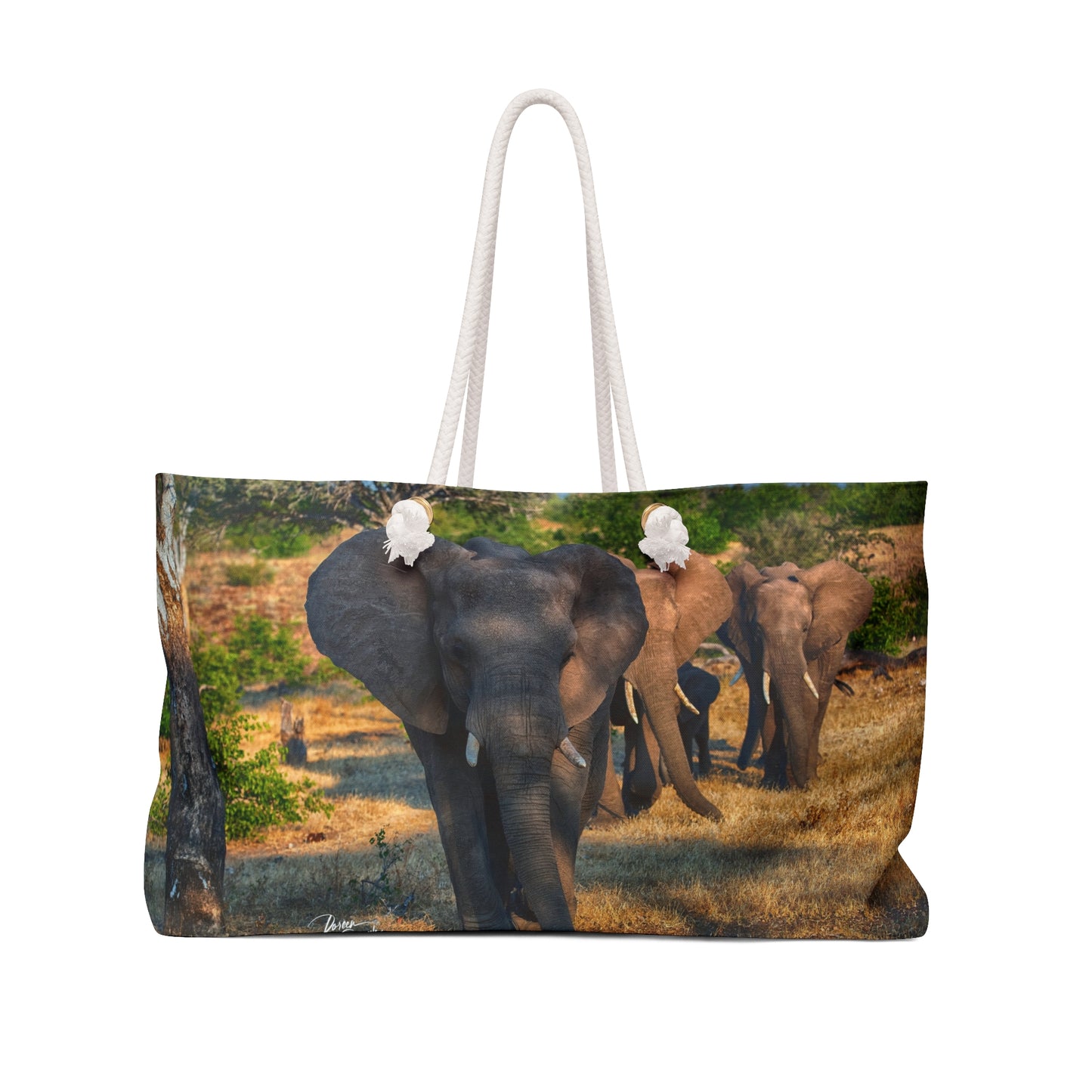 Weekender Tote Bag: Elephant Family by Enjoy Nature