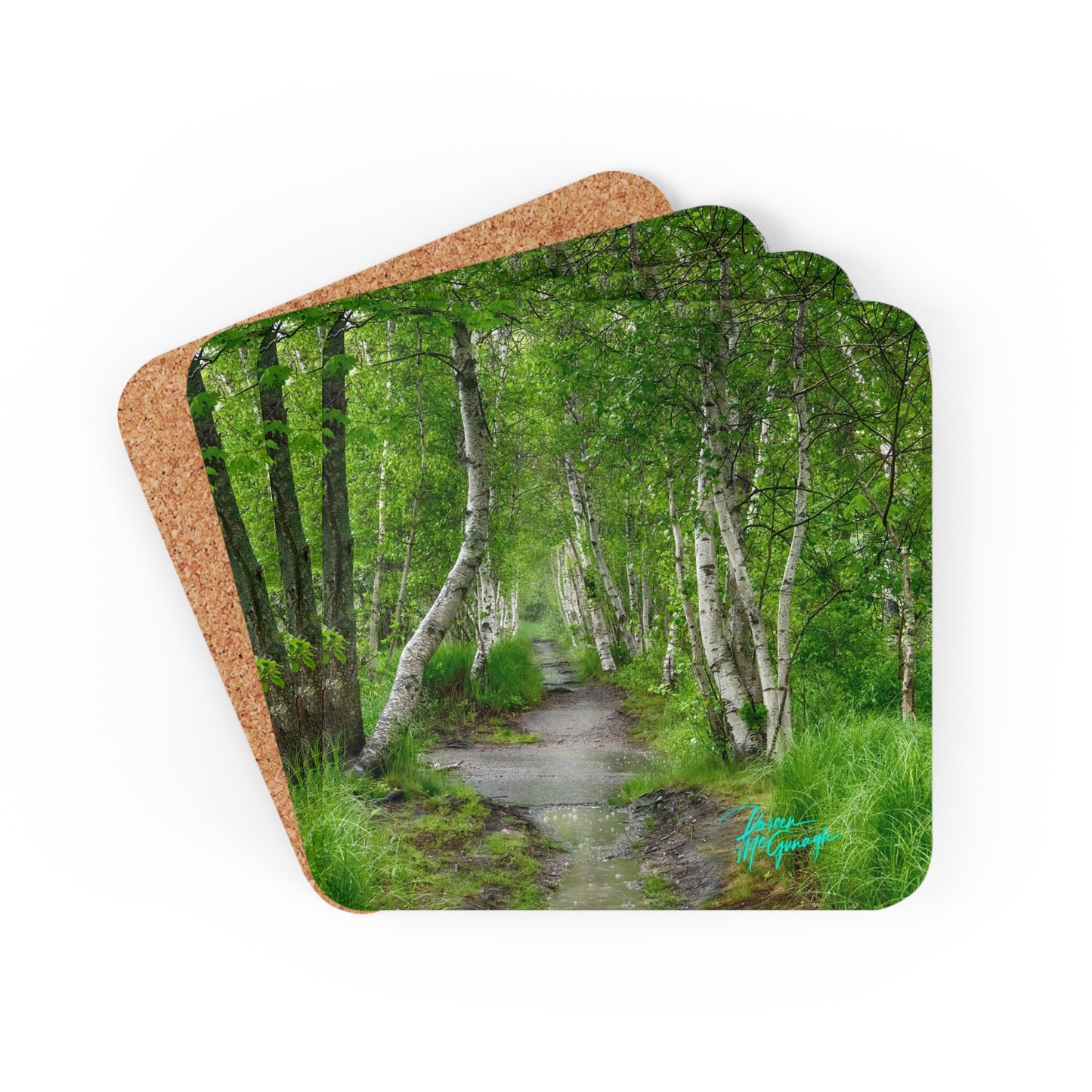 Silver Birch Trail Corkwood Coaster Set