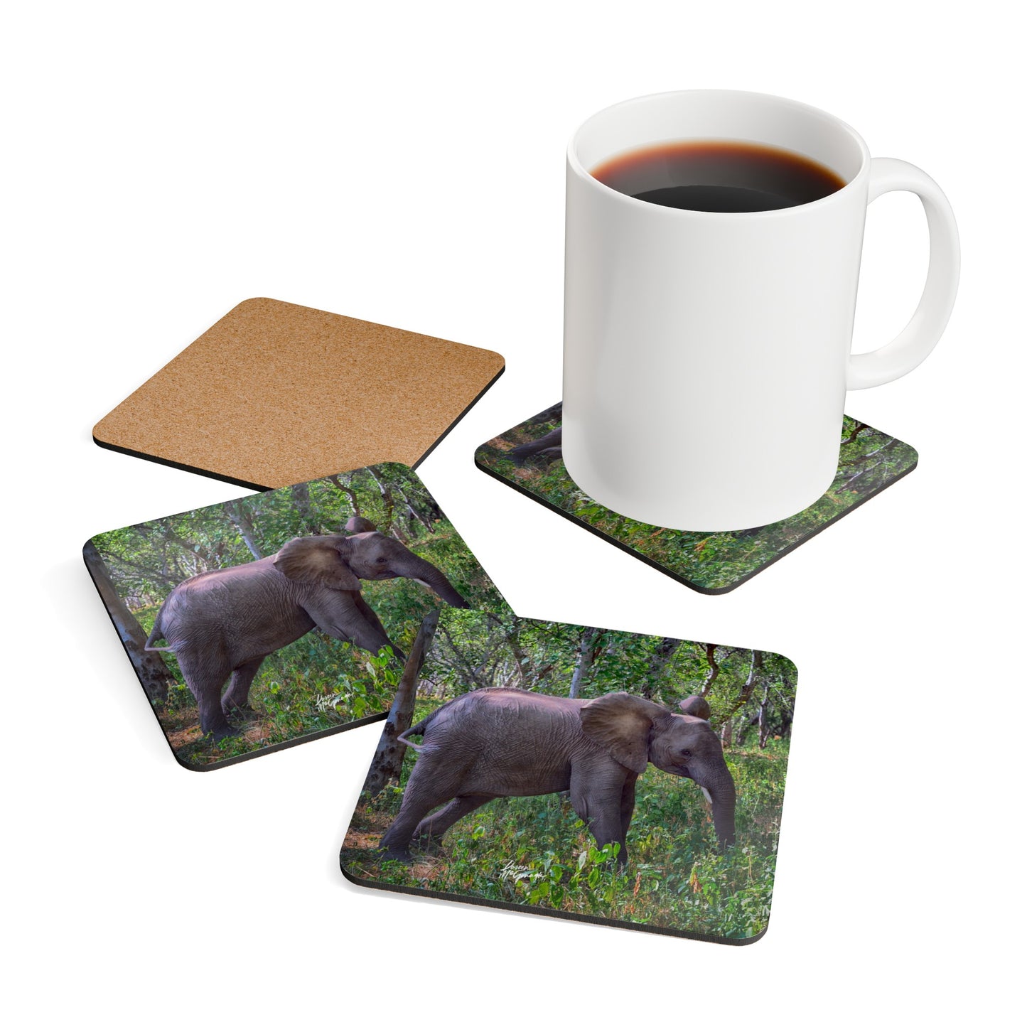 Baby Elephant Amongst the Trees Corkwood Coaster Set (Box of 4)