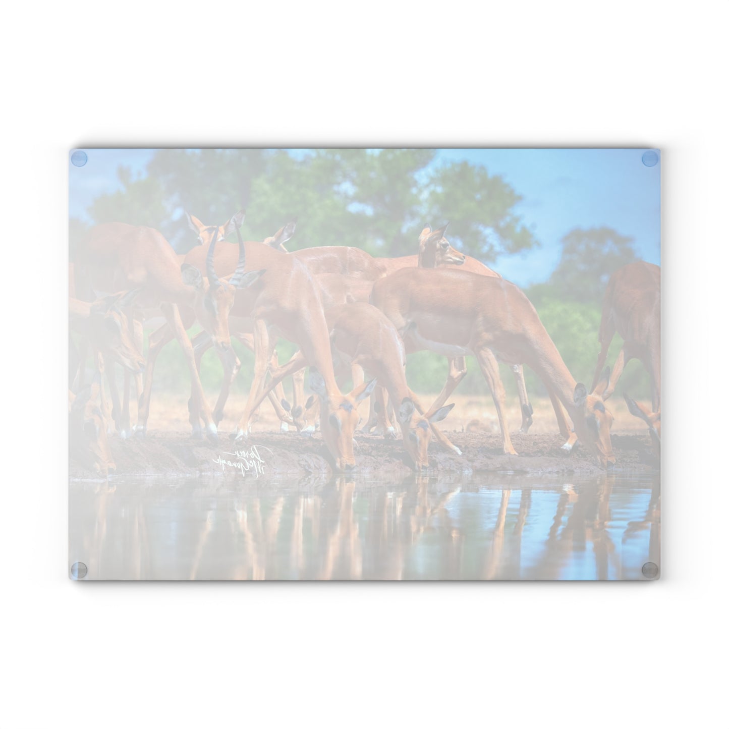 Enjoy Nature Glass Charcuterie Cutting Board with African Antelope at Watering Hole Design