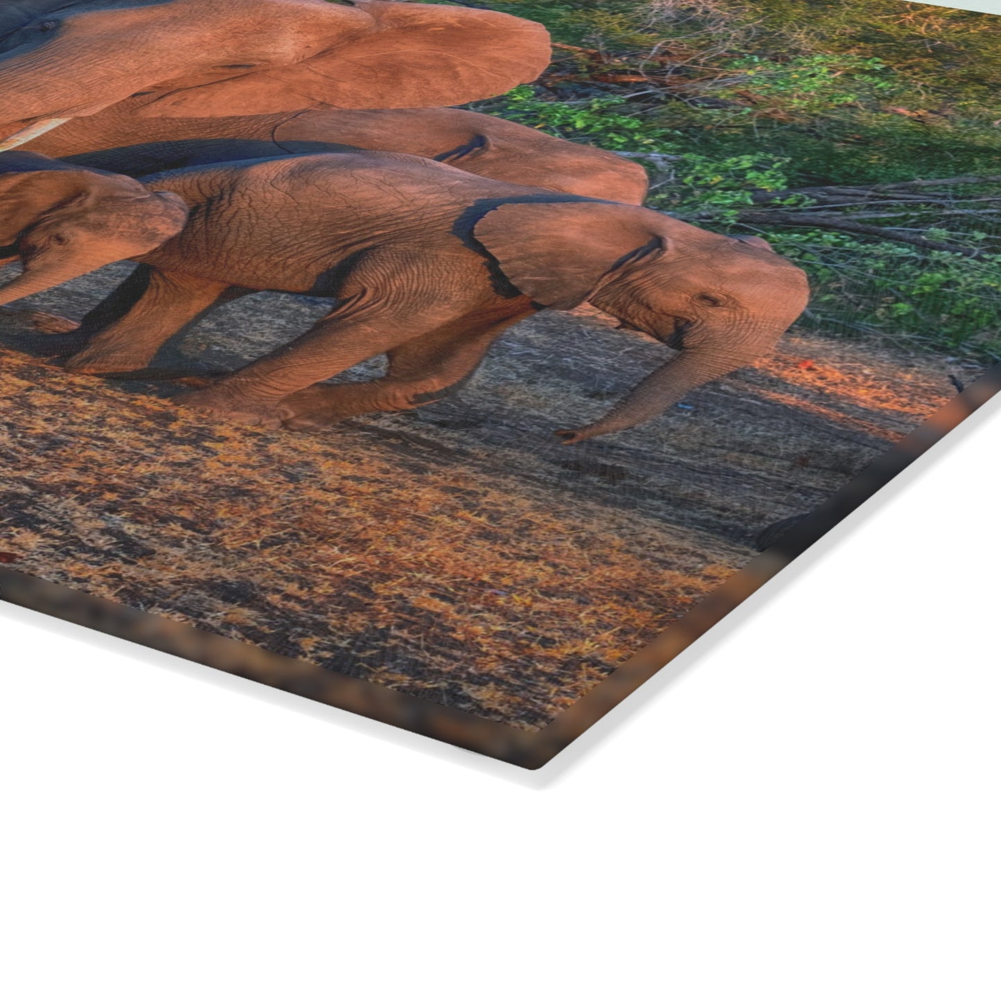 Enjoy Nature Glass Charcuterie Cutting Board with Elephant Family Design