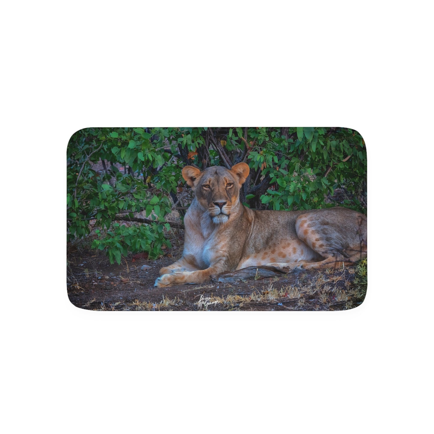 Dreaming About a Lioness Memory Foam Bath Mat from Enjoy Nature