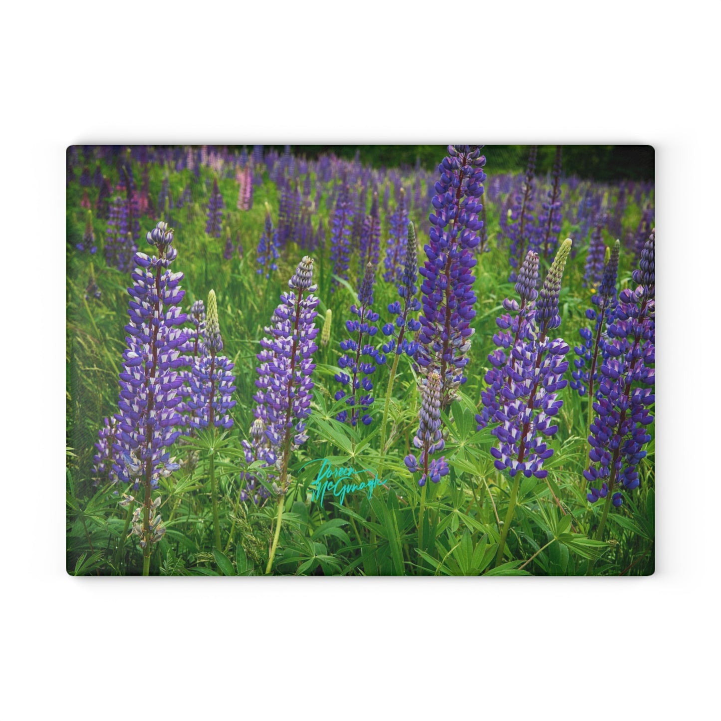 Artistic Wild Lupine Flowers Glass Cutting Board with Nature-Inspired Design