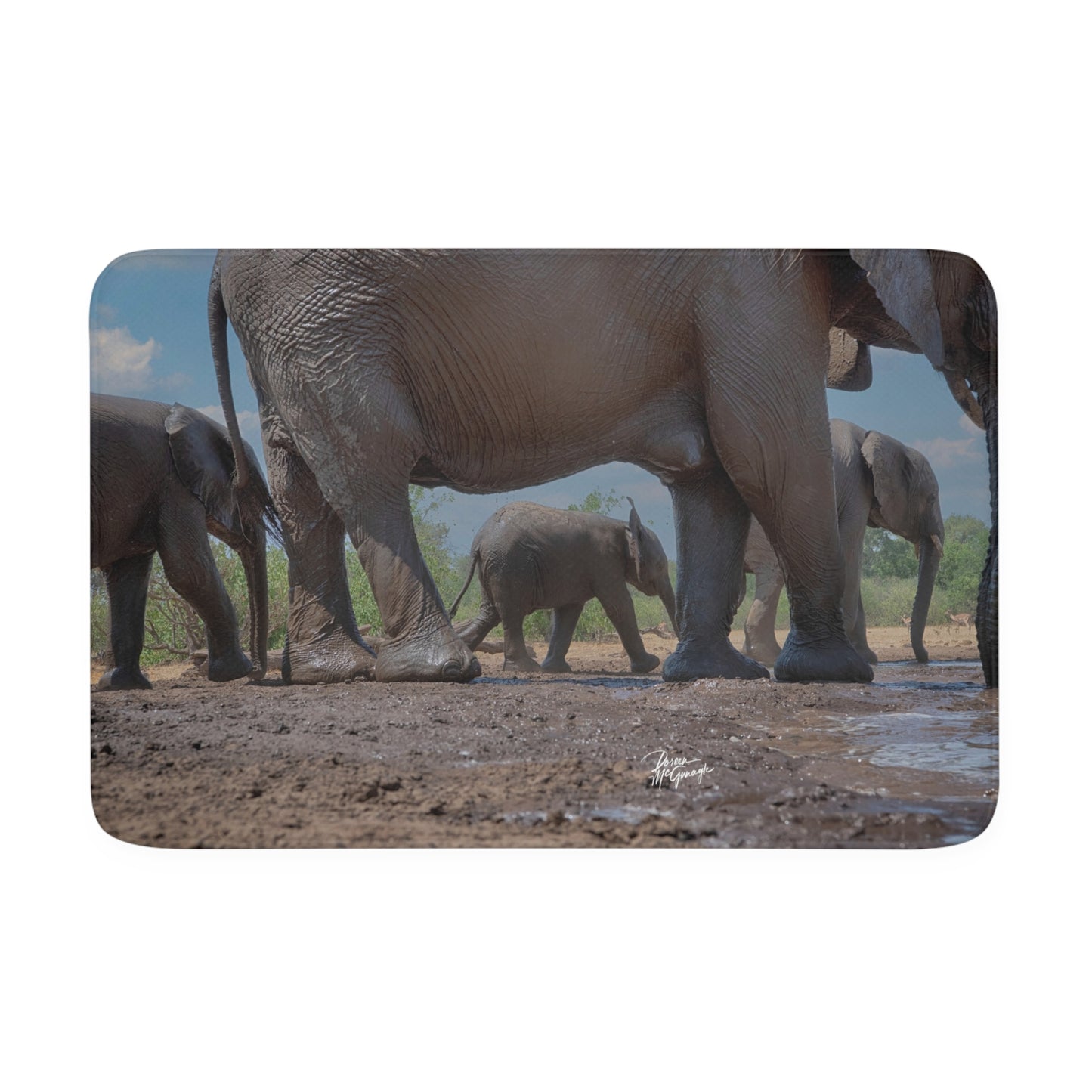 Elephant Baby Memory Foam Bath Mat from Enjoy Nature