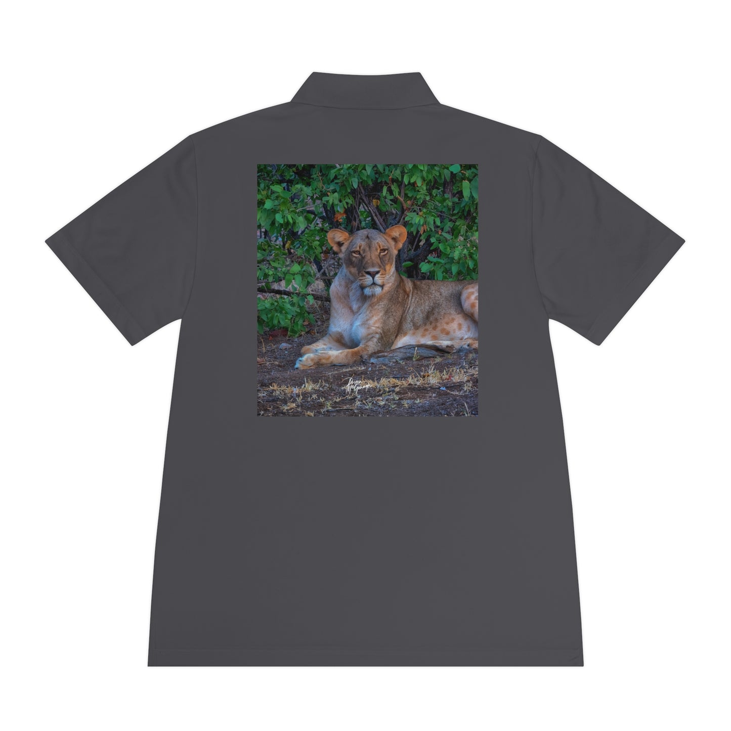 Men's Performance Polo Shirt - Dreaming of a Lioness by Enjoy Nature