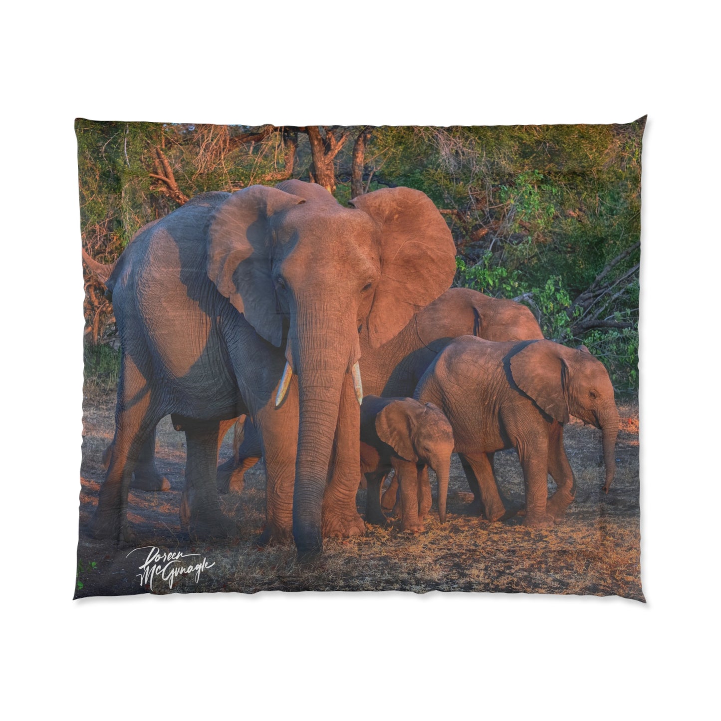 Elephant Family Walking Comforter by Enjoy Nature