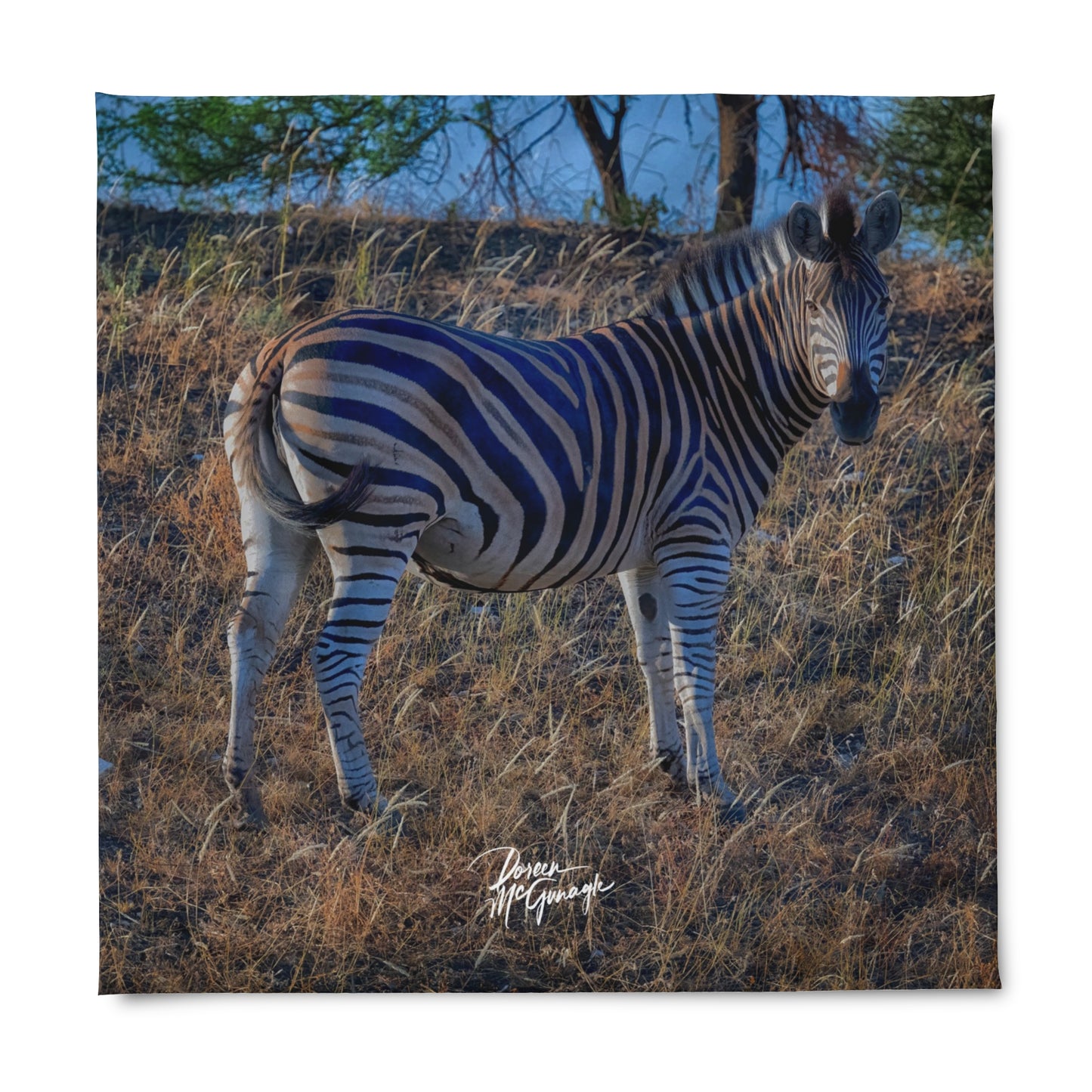 Enjoy Nature Baby Zebra Duvet Cover