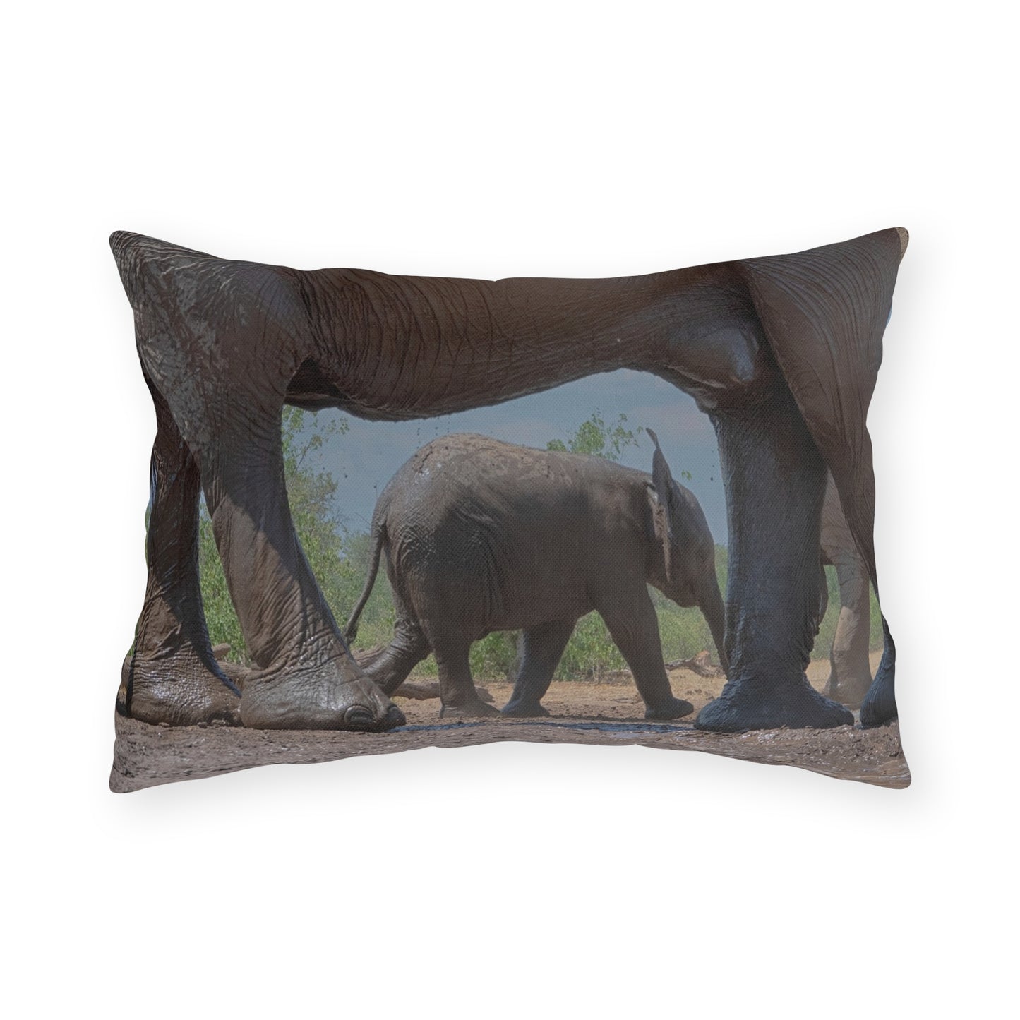 Enjoy Nature Outdoor Pillow with Baby Elephant Walk with Mom – Artistic, Comfy, and Durable Decorative Accent