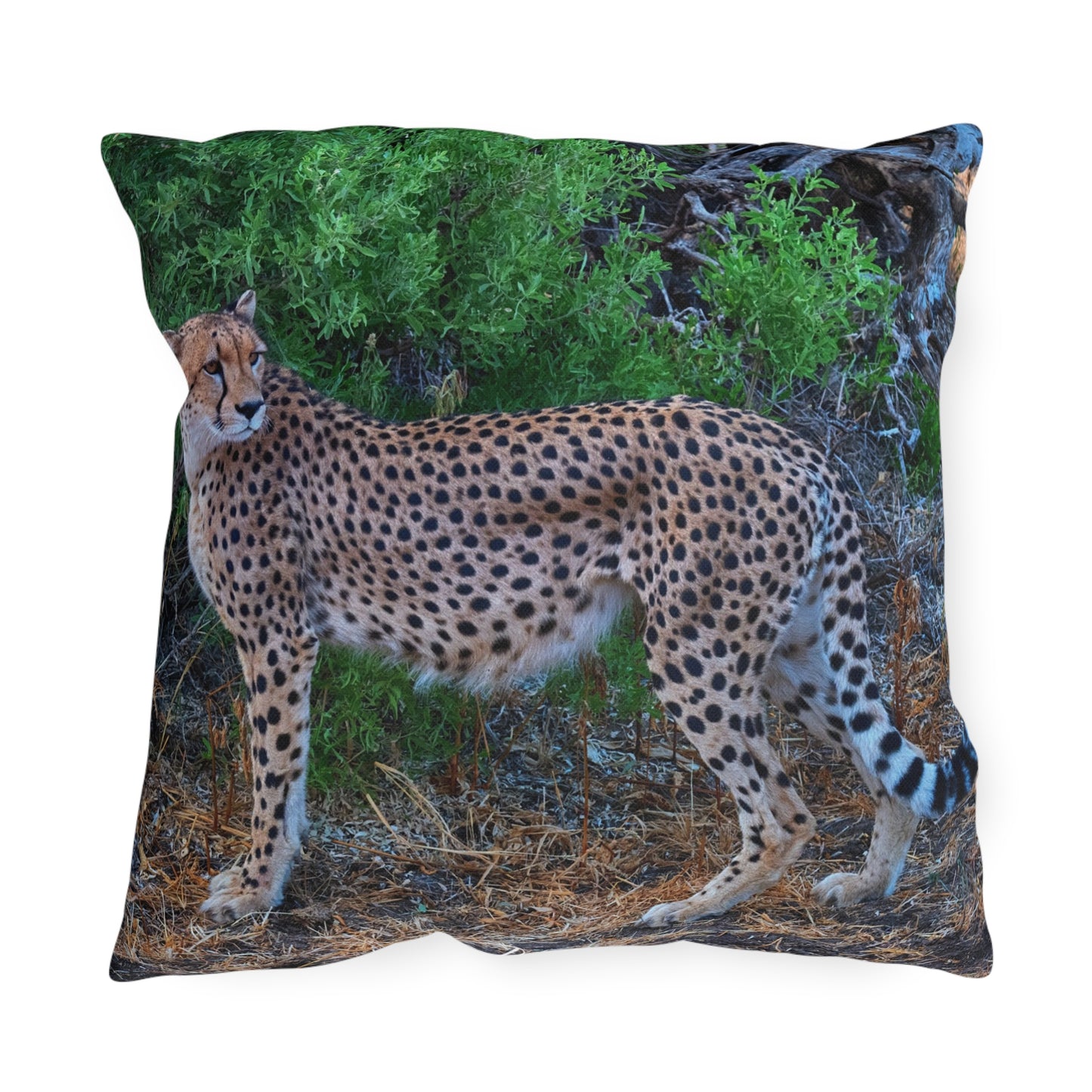 Enjoy Nature Outdoor Pillow with Cheetah Stand – Artistic, Comfy, and Durable Decorative Accent