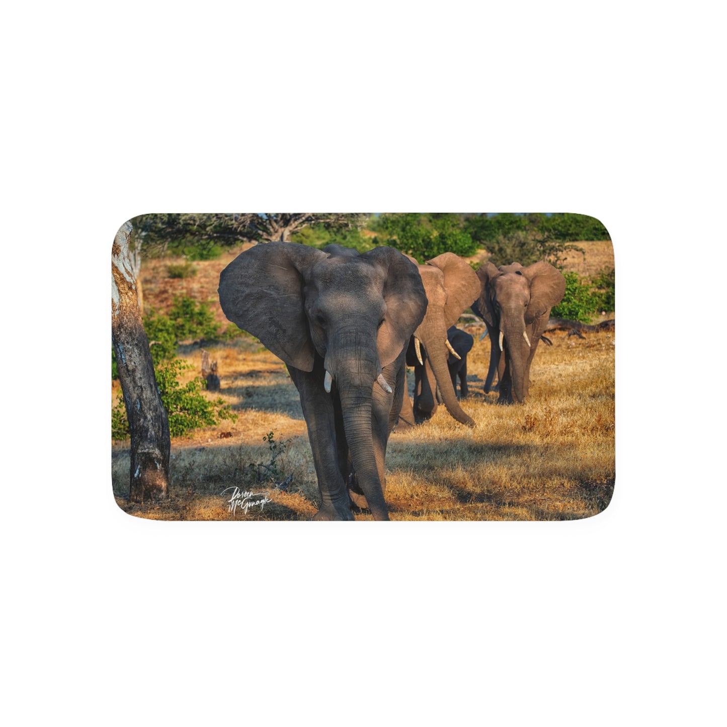 Elephant Family Memory Foam Bath Mat from Enjoy Nature