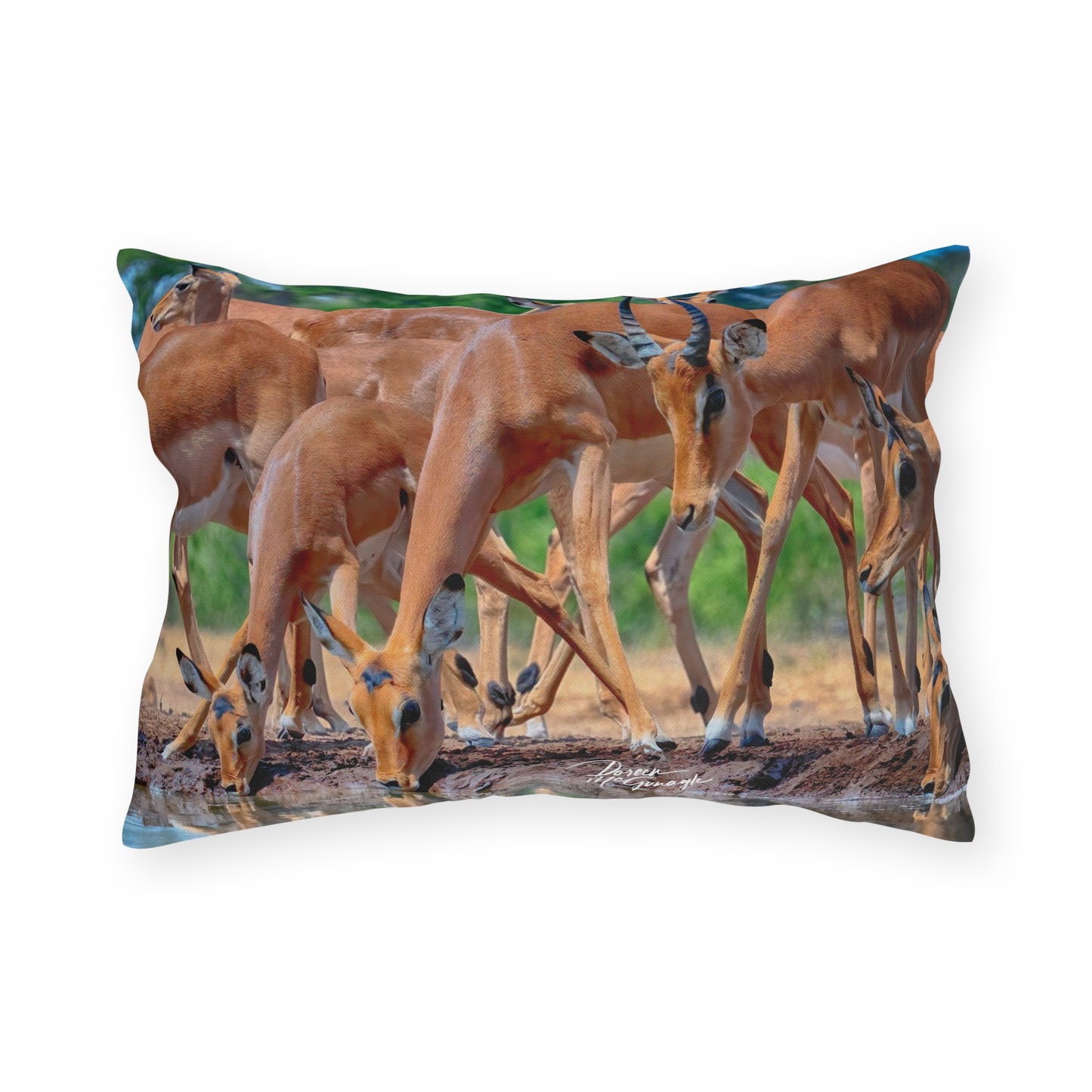 Enjoy Nature Outdoor Pillow with African Antelope at Watering Hole – Artistic, Comfy, and Durable Decorative Accent