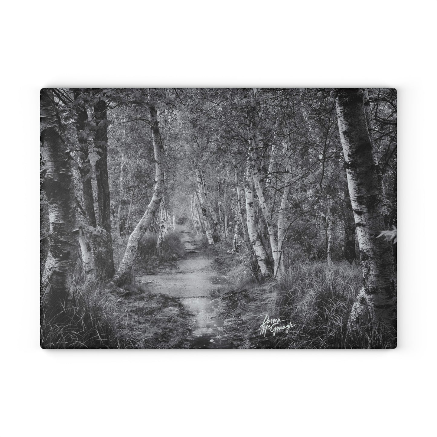 Glass cutting board designs, cheese & charcuterie board, landscape design glass cutting board,cutting board, Maine Silver Birch Forest Path