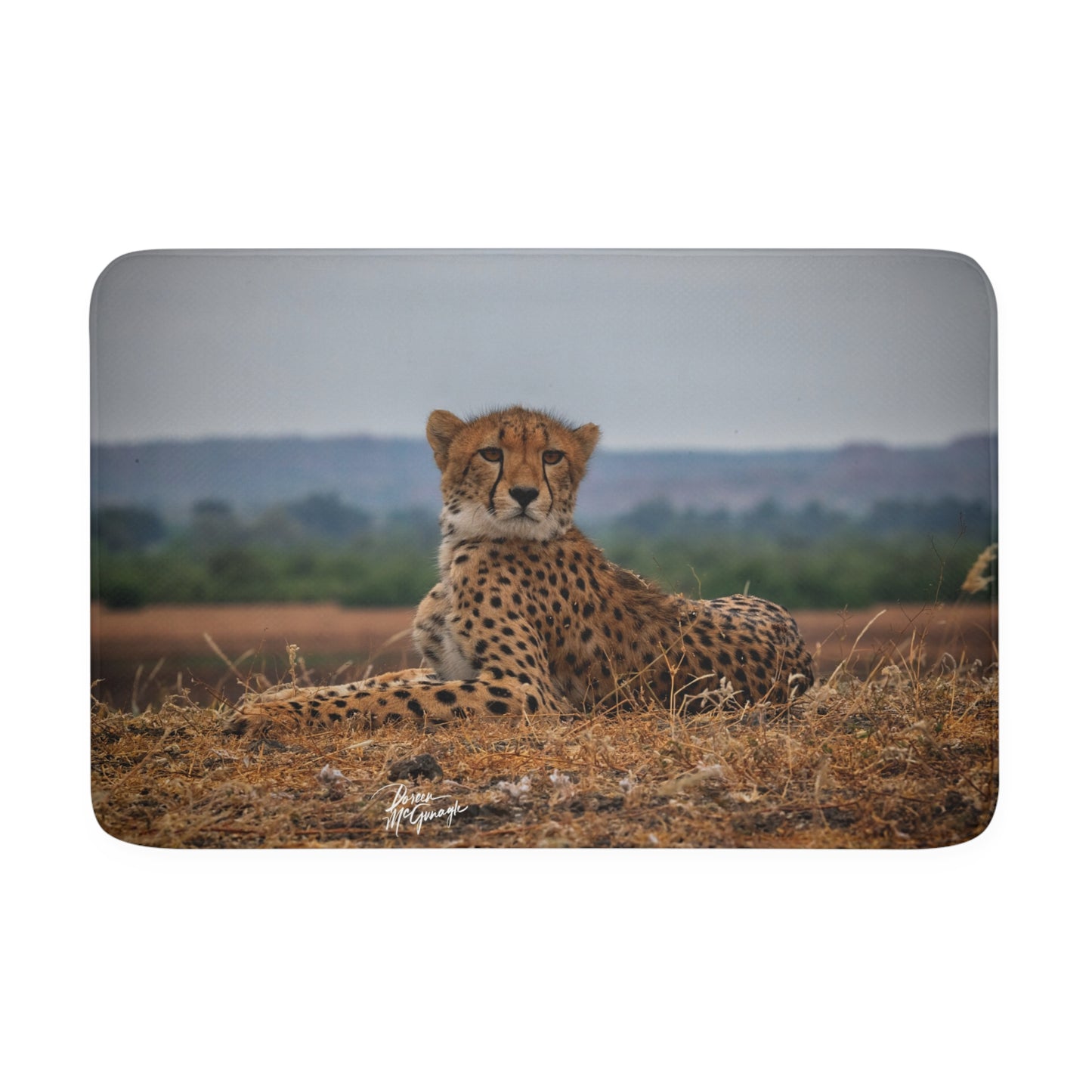 Cheetah Portrait Memory Foam Bath Mat from Enjoy Nature