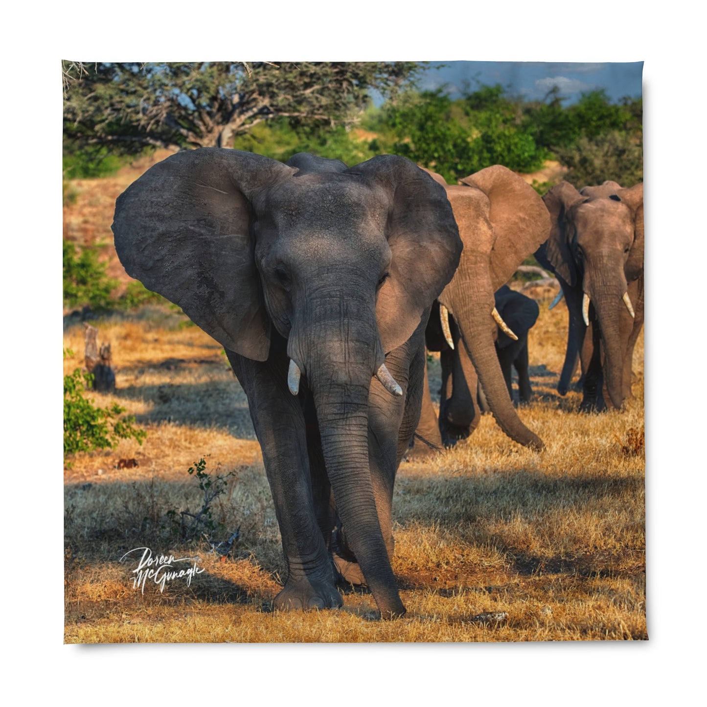 Enjoy Nature Herd of Elephant Walking Duvet Cover