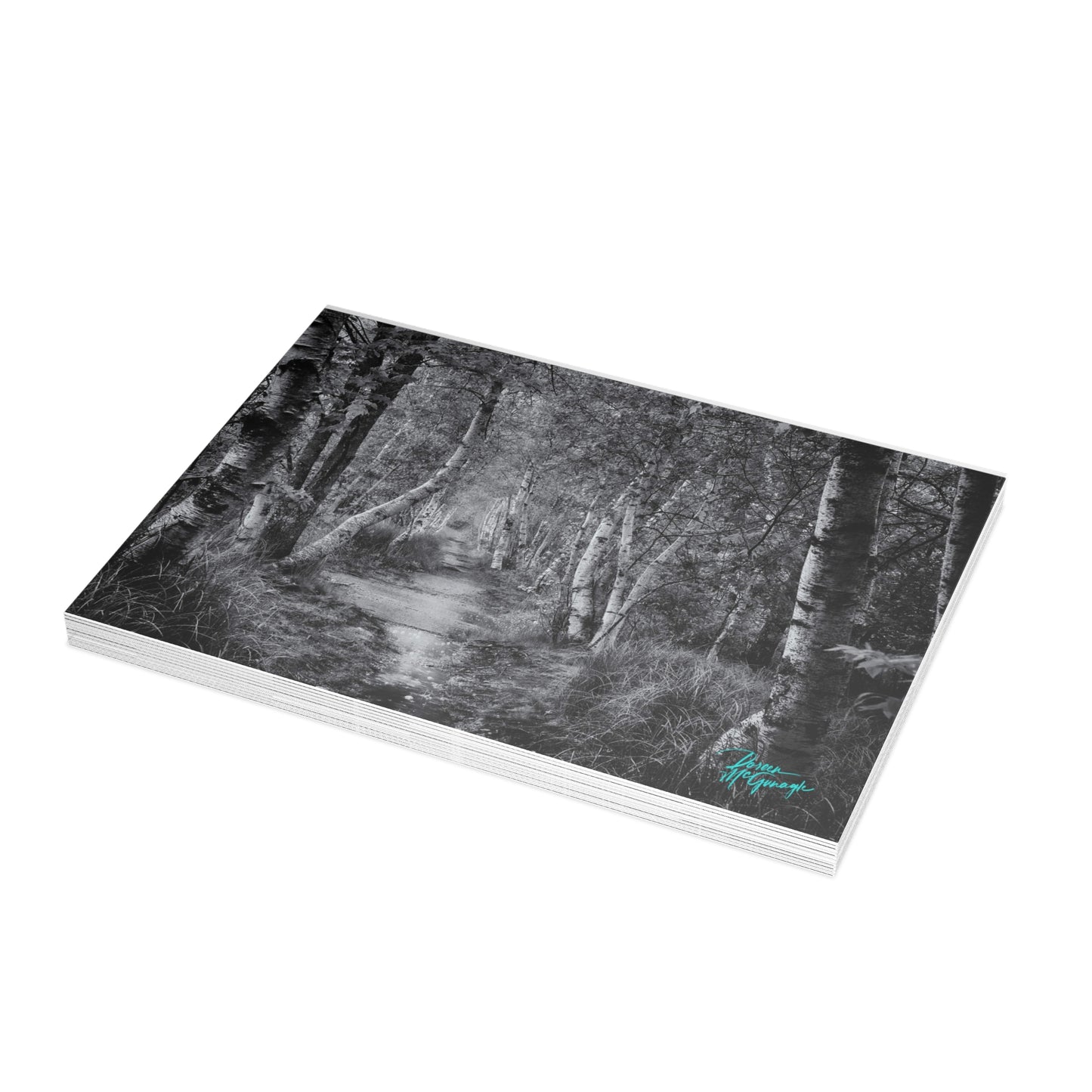 Forest Note Cards, Note Cards 5x7, Nature Note Cards, Note Card Pack, photo note cards, Silver Birch Forest Path in Black and White