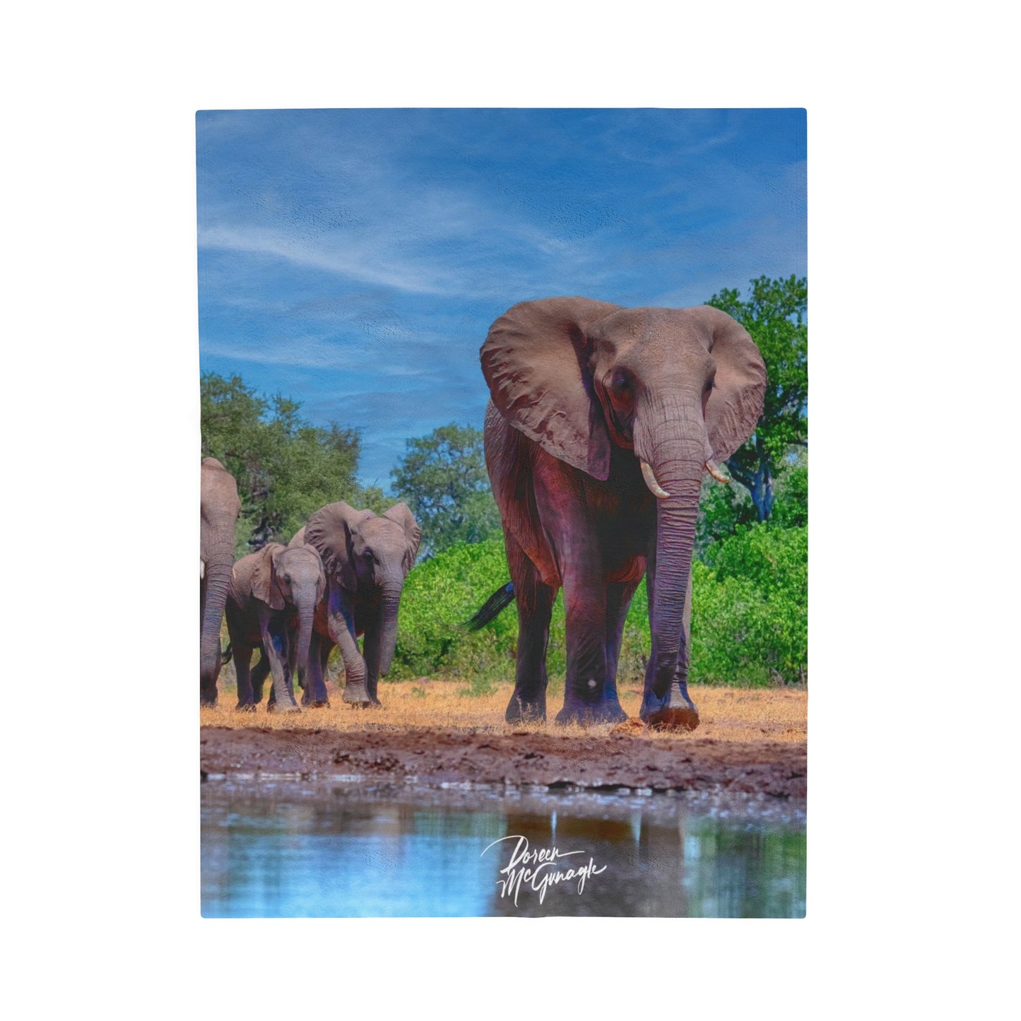 Velveteen Plush Blanket with Elephant Family at Watering Hole by Enjoy Nature