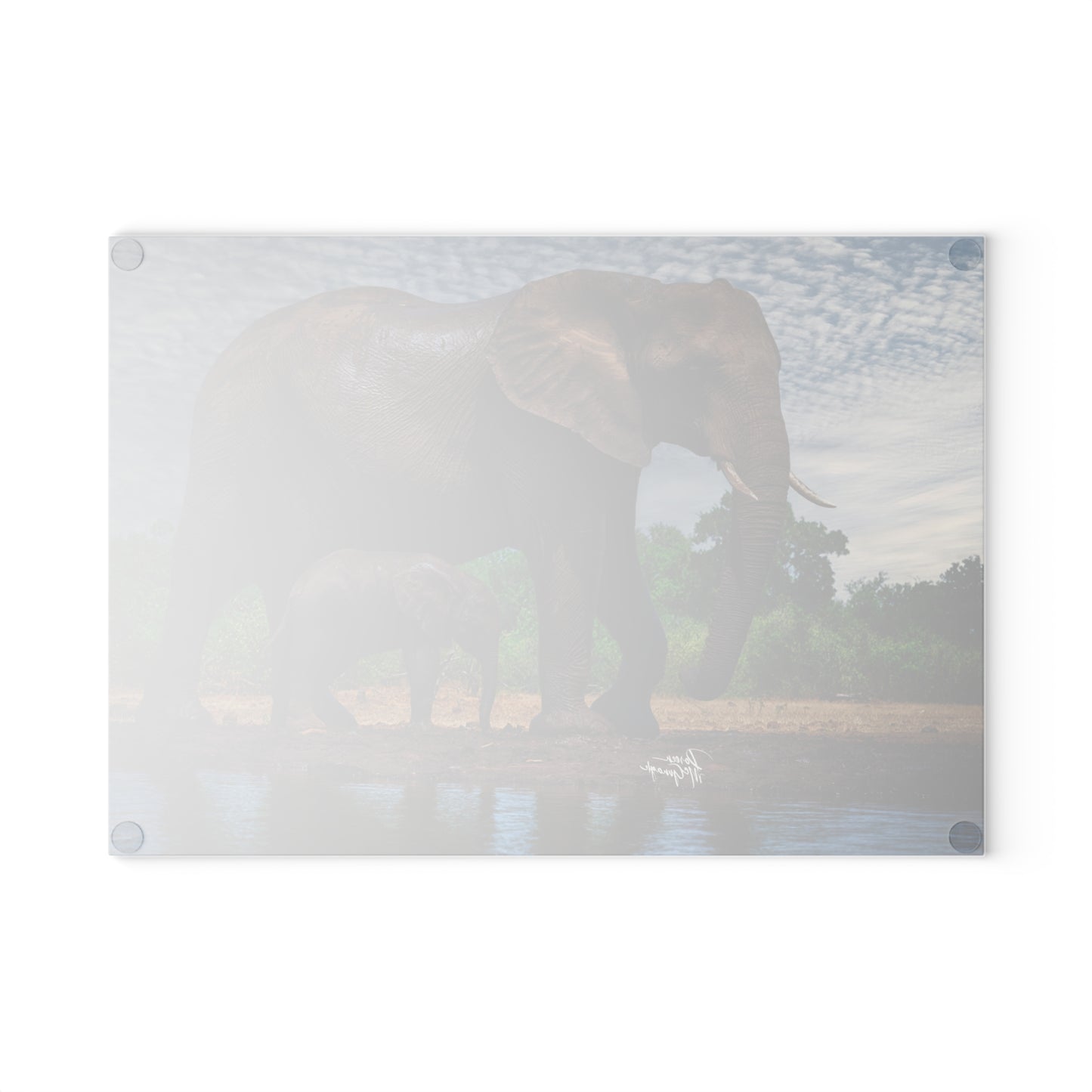 Enjoy Nature Glass Charcuterie Cutting Board with Elephant Baby Walking with Mom Design