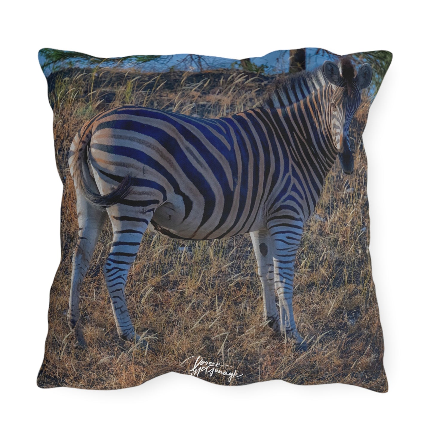 Enjoy Nature Outdoor Pillow with Baby Zebra – Artistic, Comfy, and Durable Decorative Accent