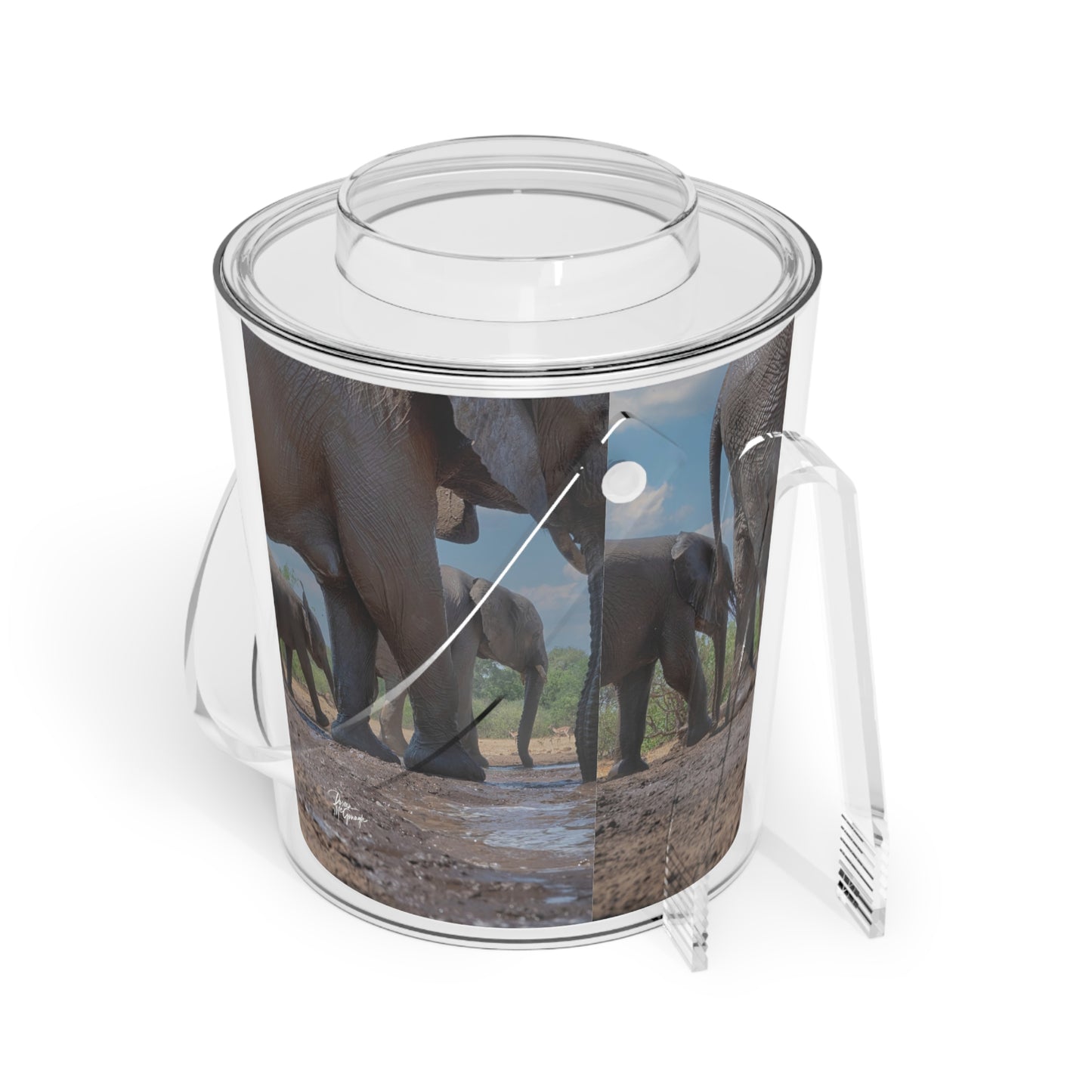 Enjoy Nature Elephant Baby with Mom's Gentle Touch Insulated Ice Bucket