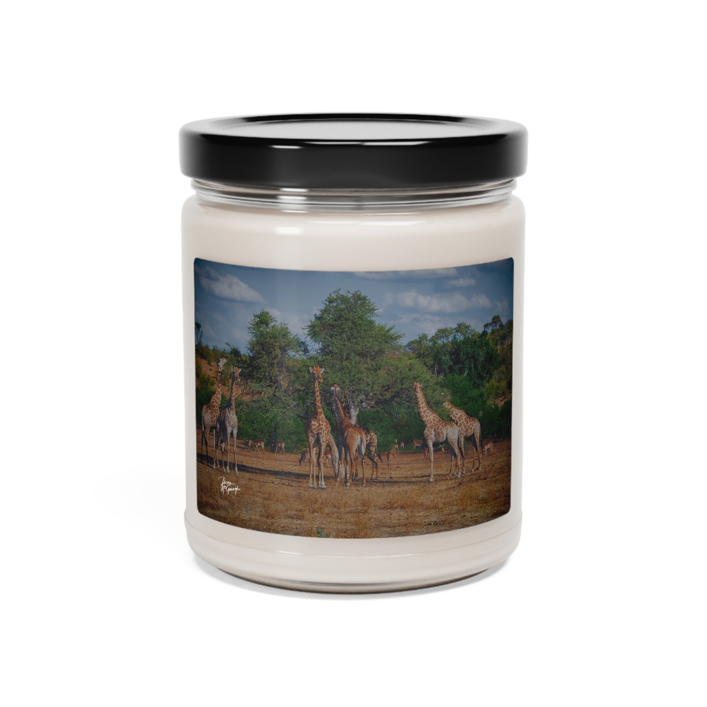 Experience the Pure Essence of Nature with the Elephant Family on Savanna Scented Soy Candle by Enjoy Nature