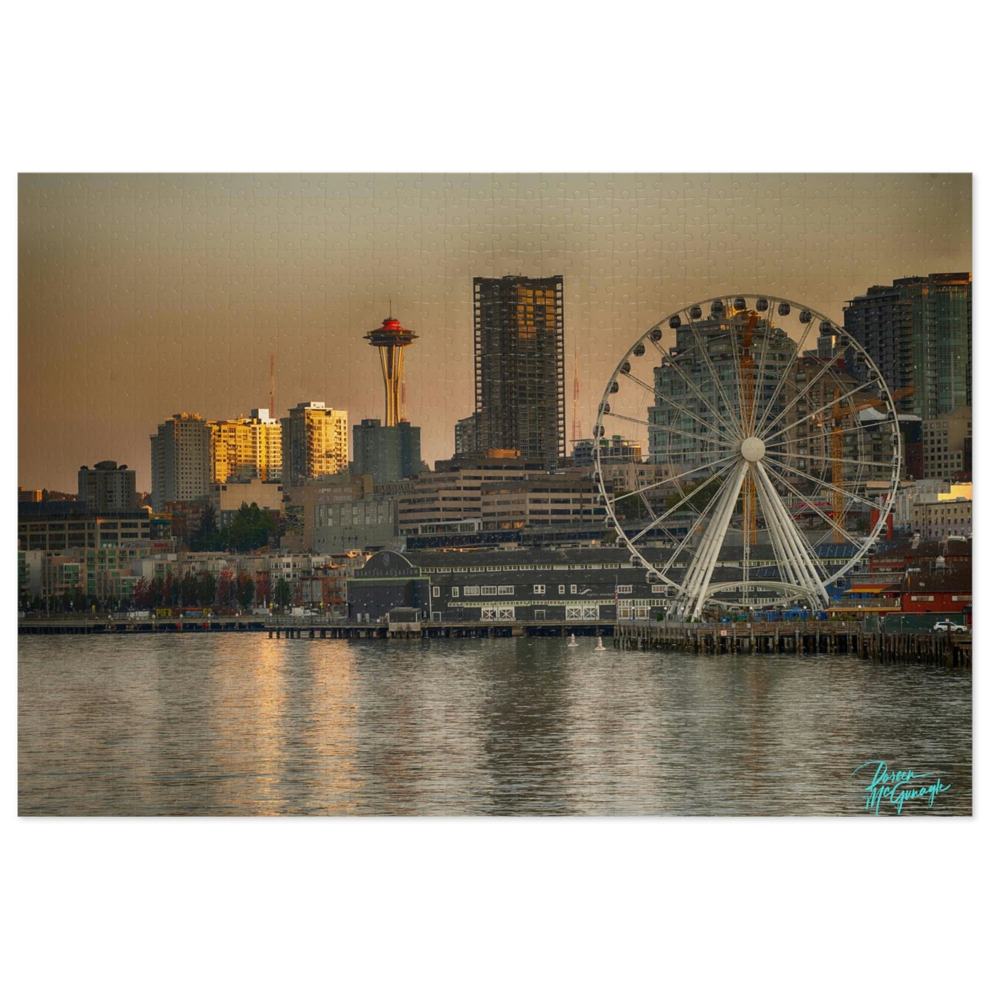 Nature Puzzles, Seattle Space Needle, Inspired by nature