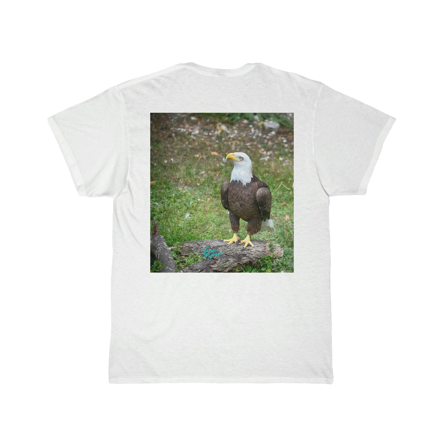 Mens Cotton Tee American Bald Eagle 14, Short Sleeve Plus Sizes