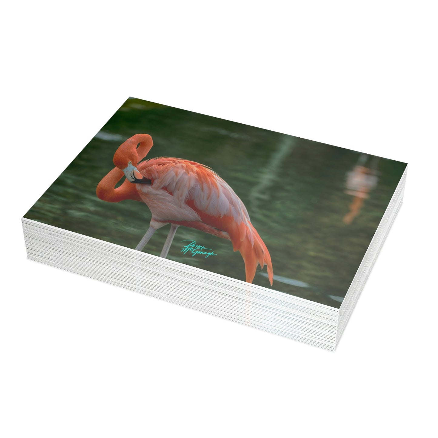 Photo note cards Flamingo Bird, boxed note cards, 10 pc