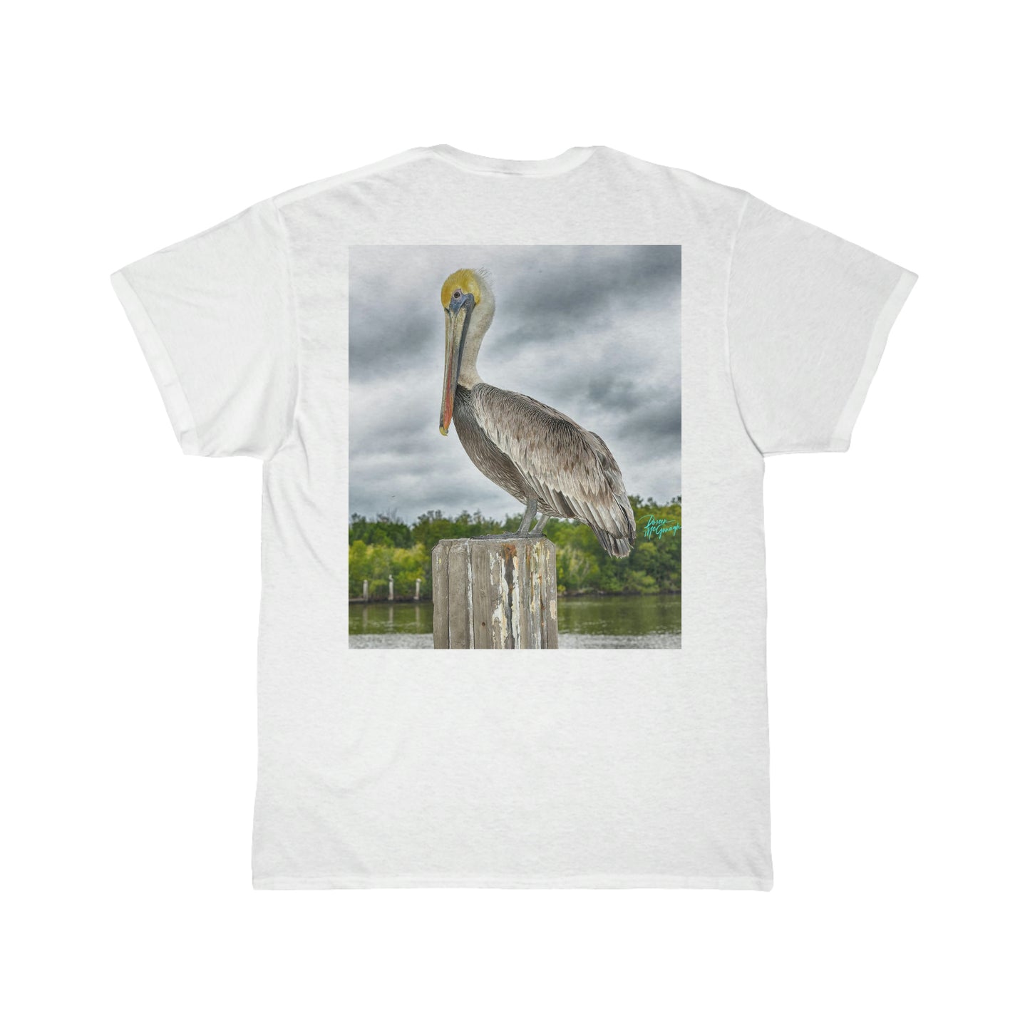 Mens Cotton Tee Shirt, Pelican Short Sleeve, Plus Sizes