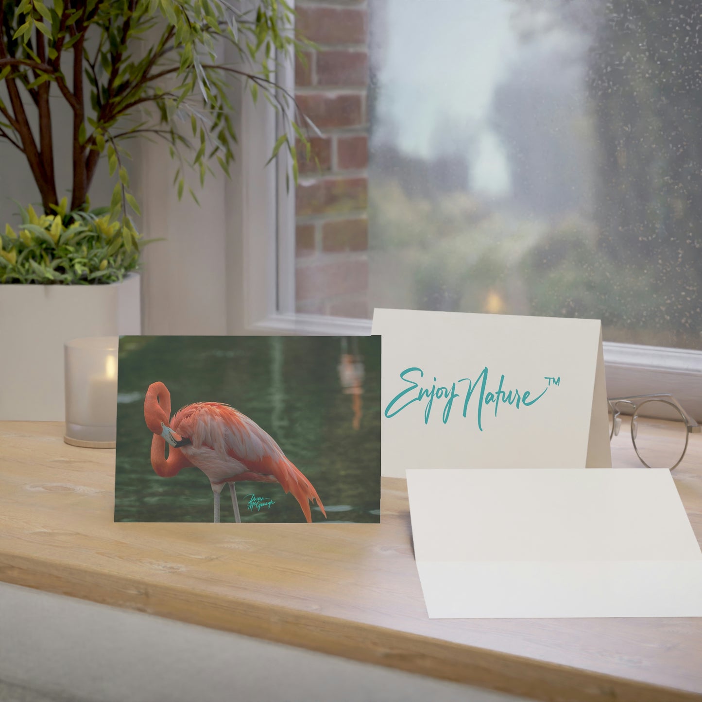 Photo note cards Flamingo Bird, boxed note cards, 10 pc