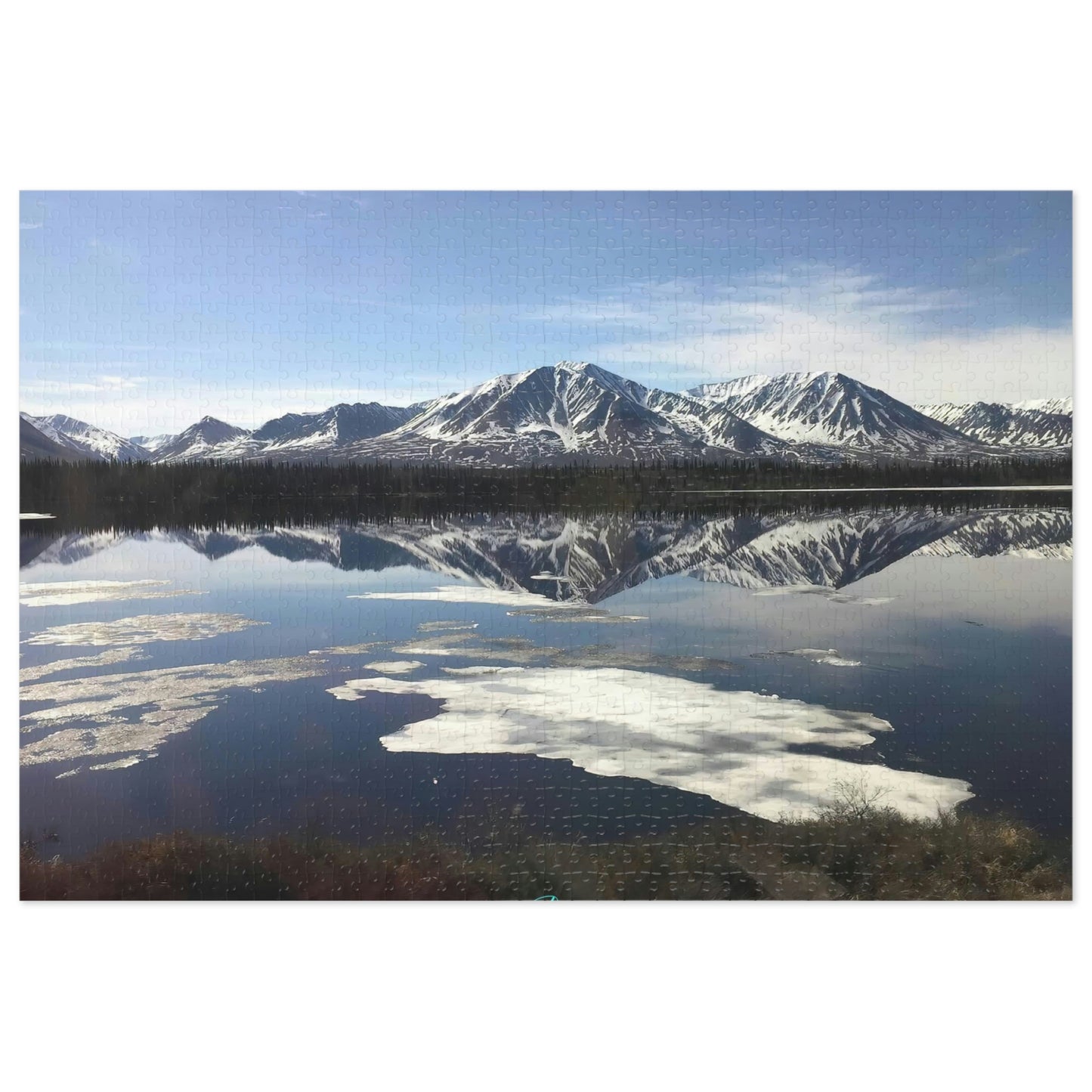 Nature Puzzles Mt. Denali Alaska,inspired by nature 1000 piece puzzles