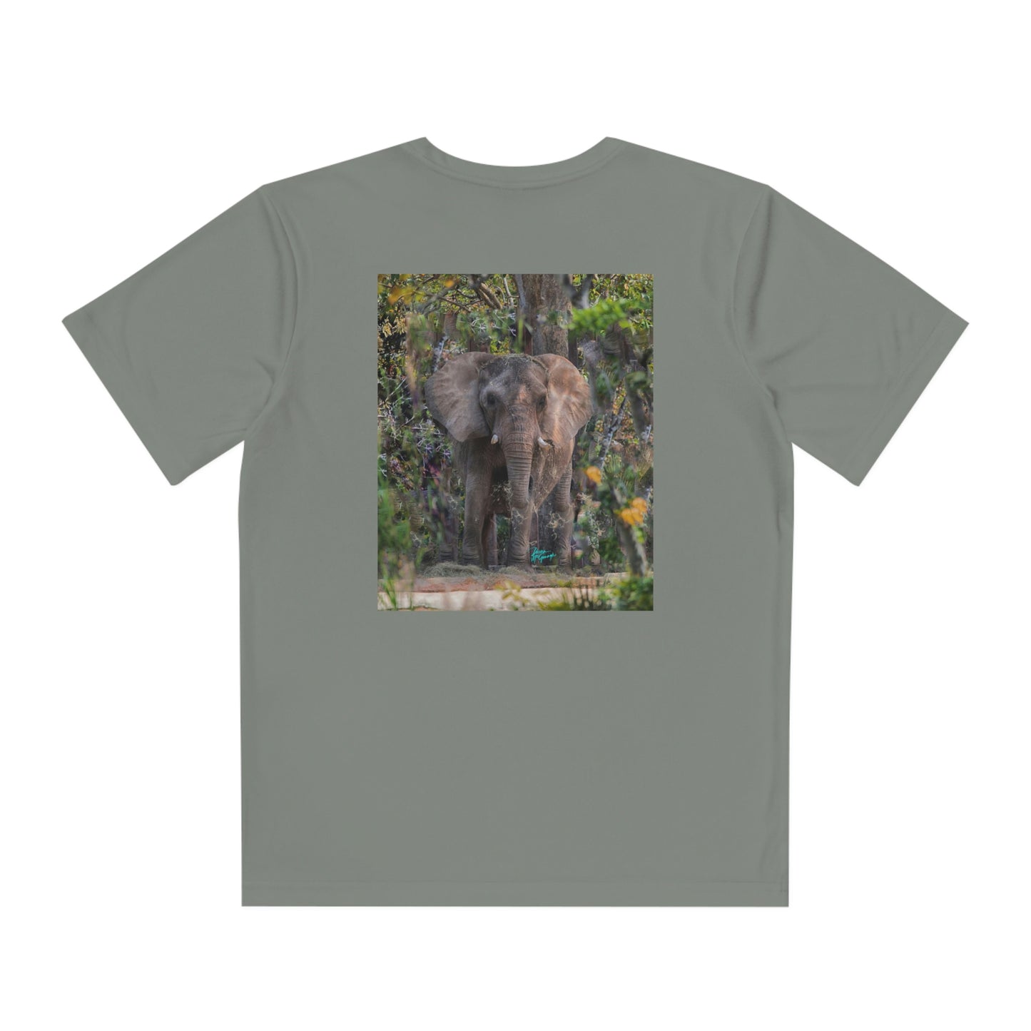 Youth T Shirts, Elephant 12, performance shirt