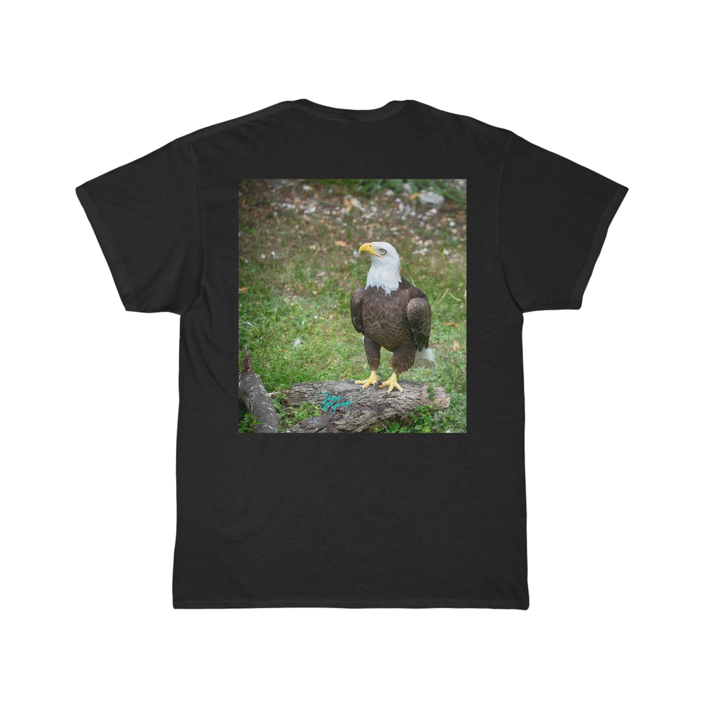 Mens Cotton Tee American Bald Eagle 14, Short Sleeve Plus Sizes