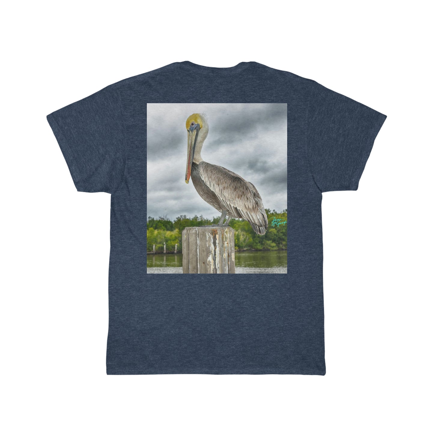 Mens Cotton Tee Shirt, Pelican Short Sleeve, Plus Sizes