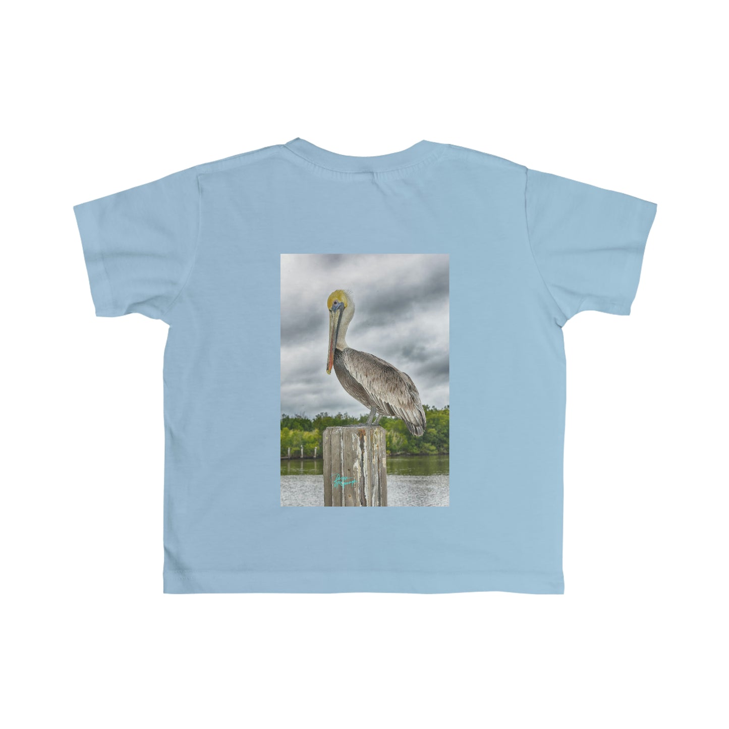 Toddler T shirts Pelican, t shirts for kids, inspired by nature