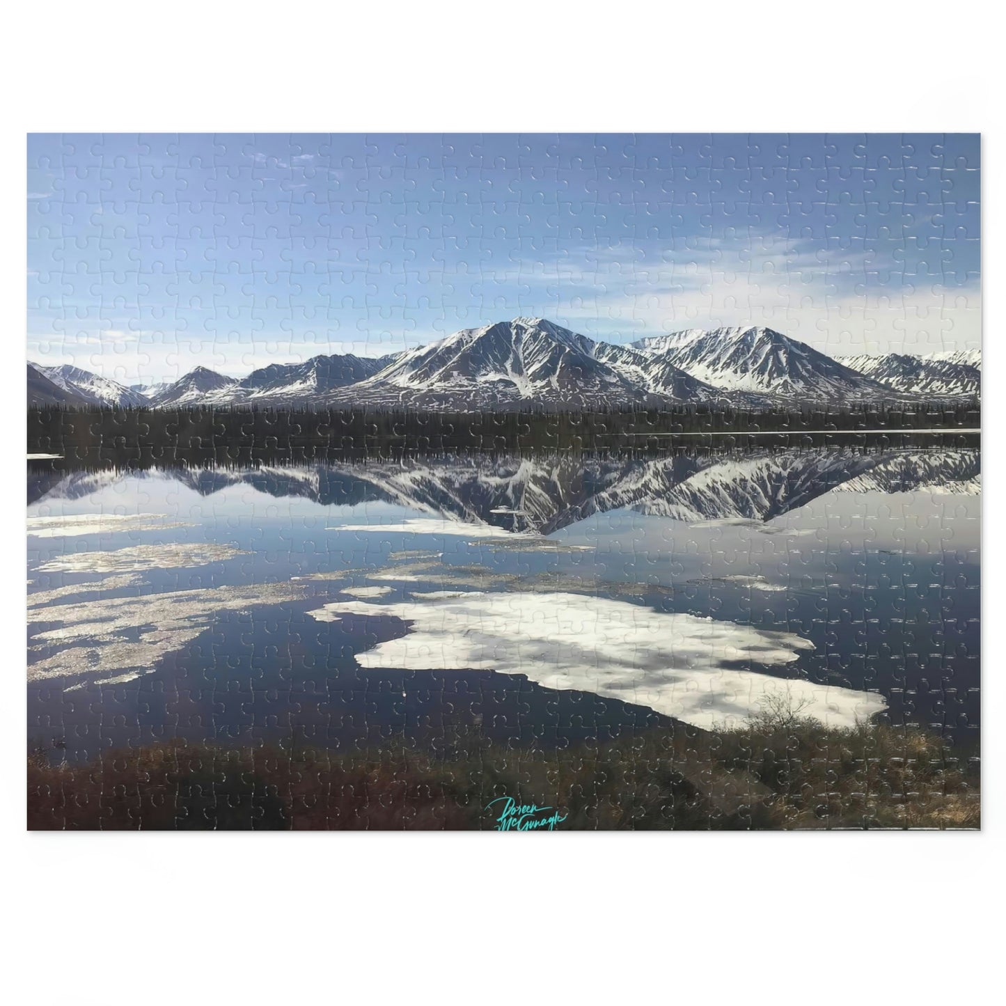 Nature Puzzles Mt. Denali Alaska,inspired by nature 1000 piece puzzles