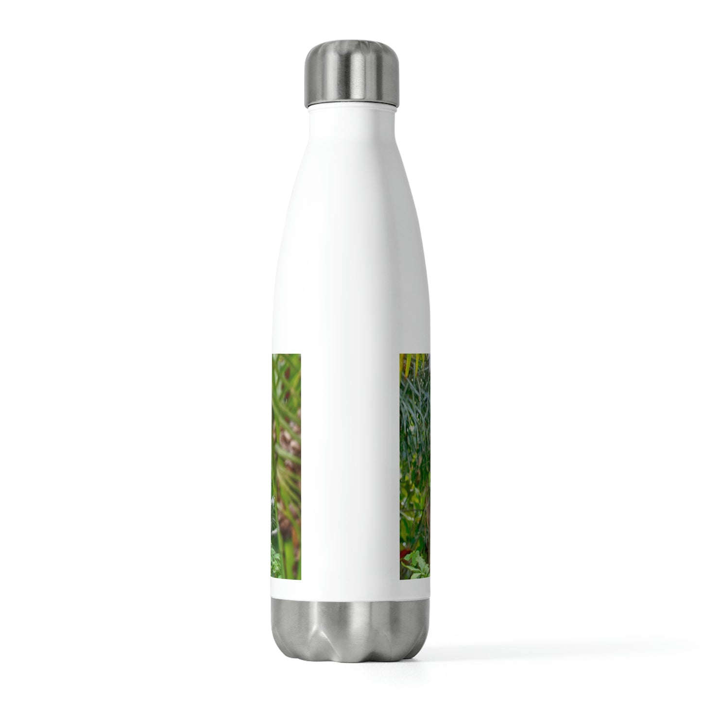 Eco friendly water bottle Purple Dendrobium Orchid 02, 20oz insulated water bottle