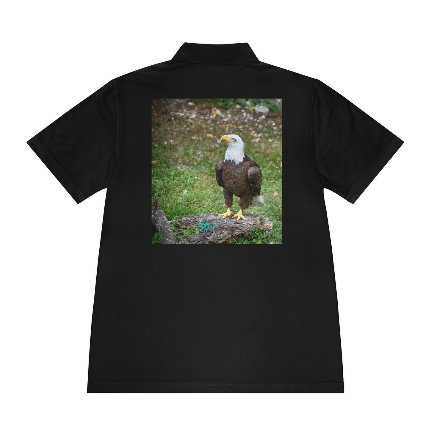 Mens polo shirts Bald Eagle 14, performance shirt, plus sizes