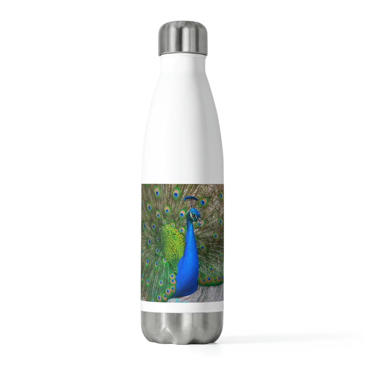 Eco friendly water bottle Peacock Bird 15, 20oz insulated water bottle