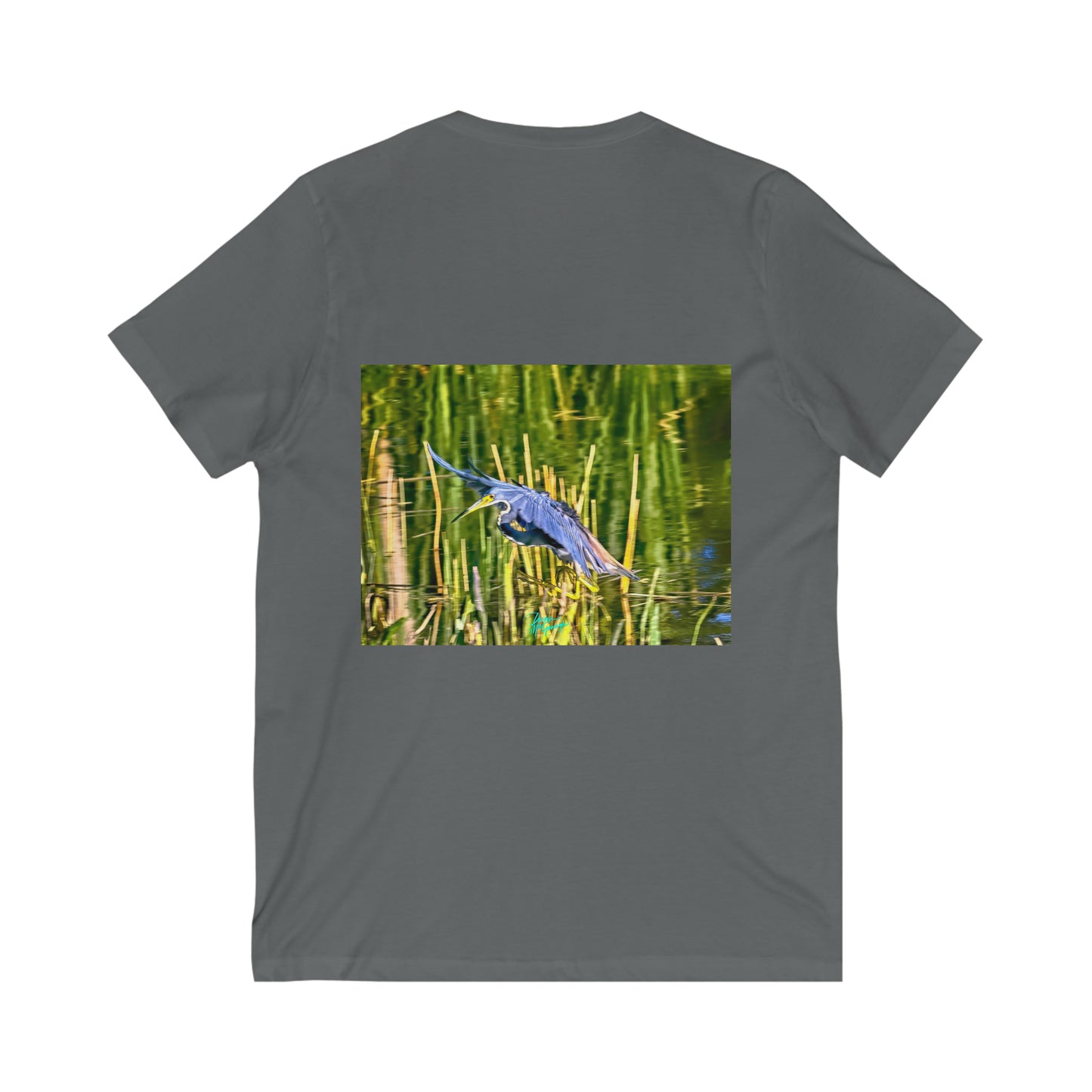 Unisex T shirt Tri Color Heron in Flight, inspired by nature