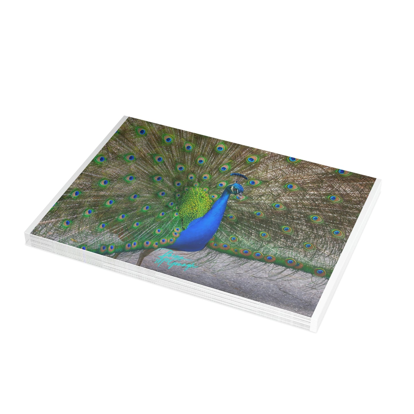 Photo note cards Peacock Bird, boxed note cards, 10 pc