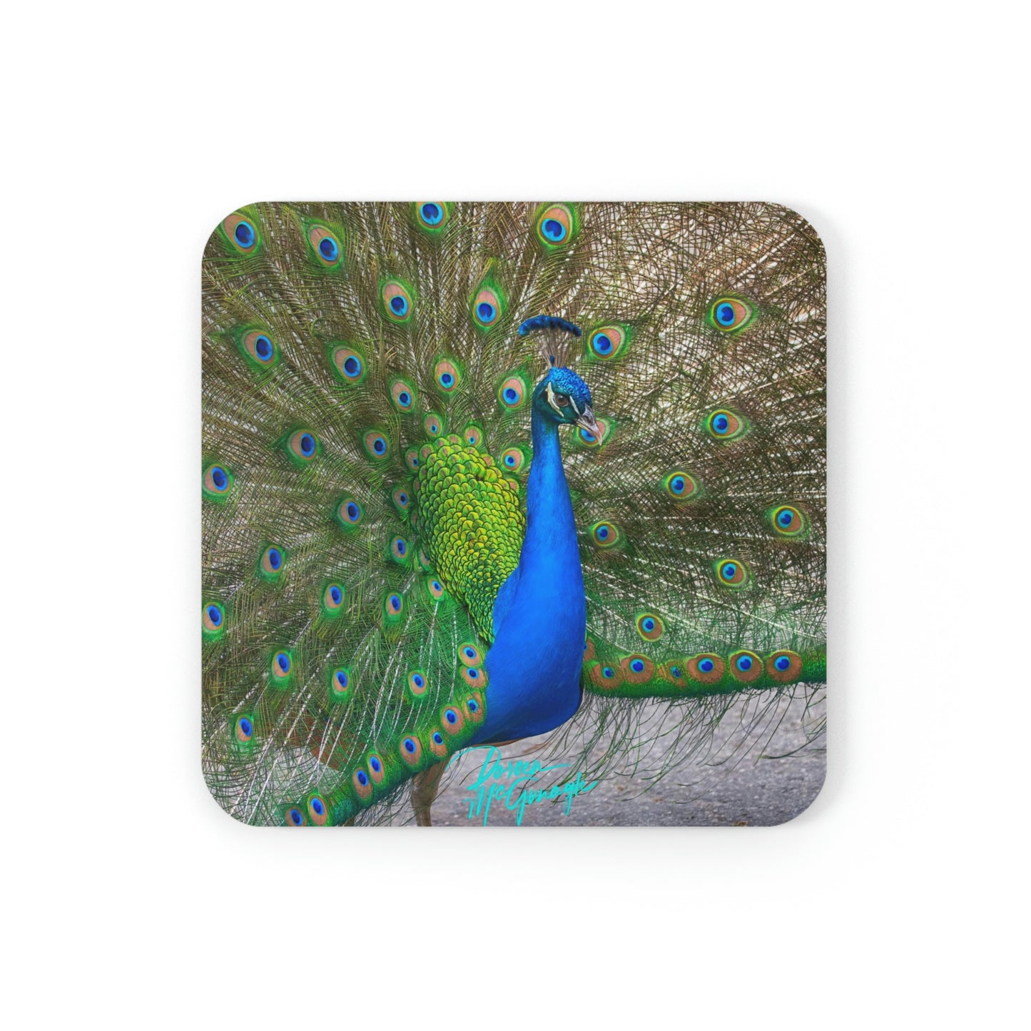 Peacock Bird Cork Coaster Set