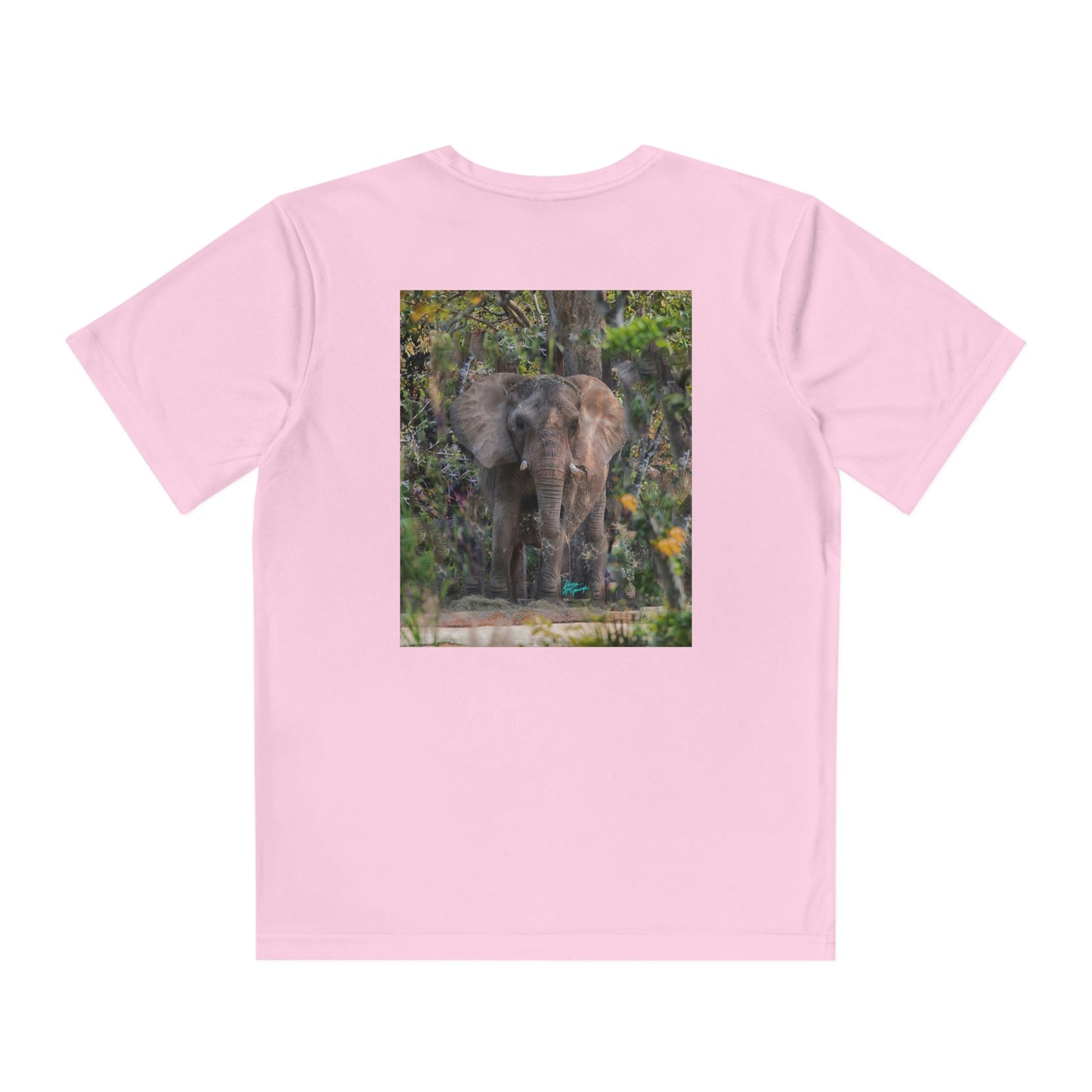 Youth T Shirts, Elephant 12, performance shirt