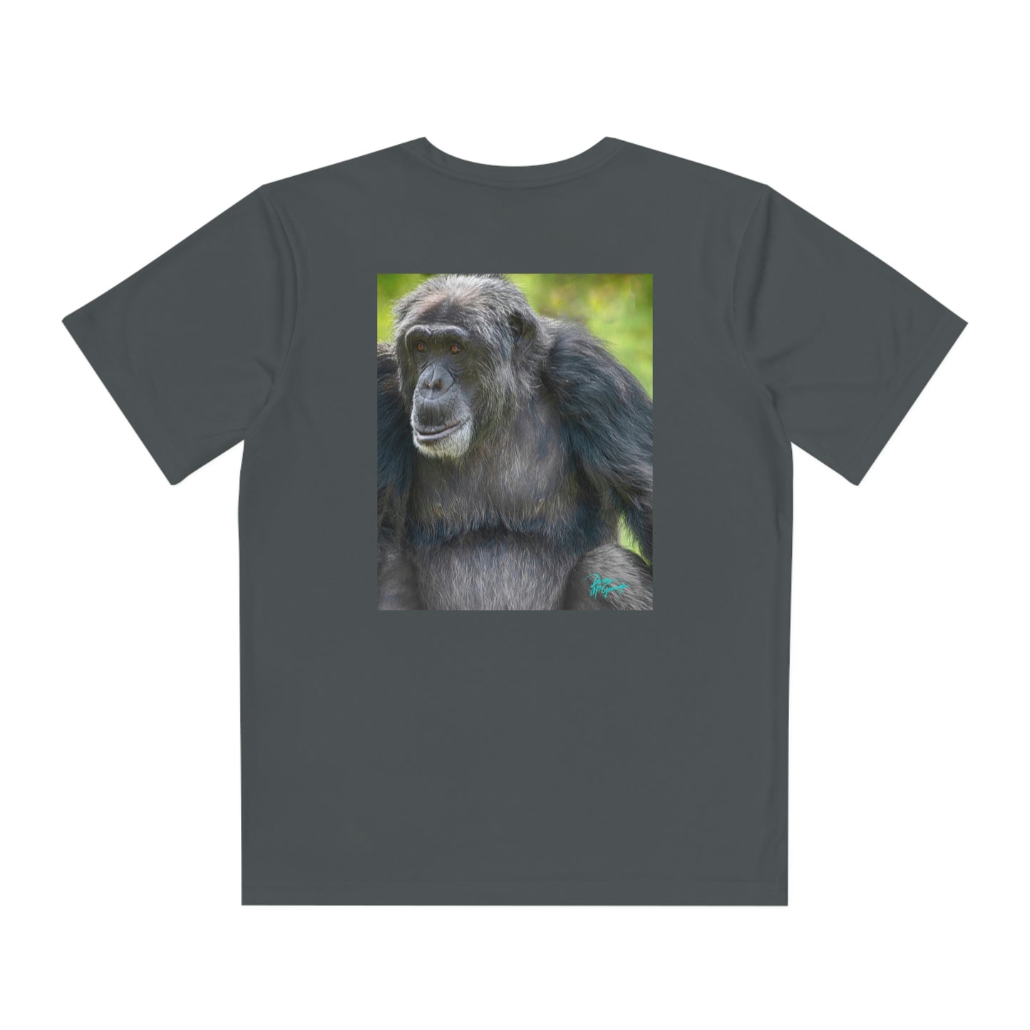 Youth T Shirts, Chimpanzee 07, performance shirt